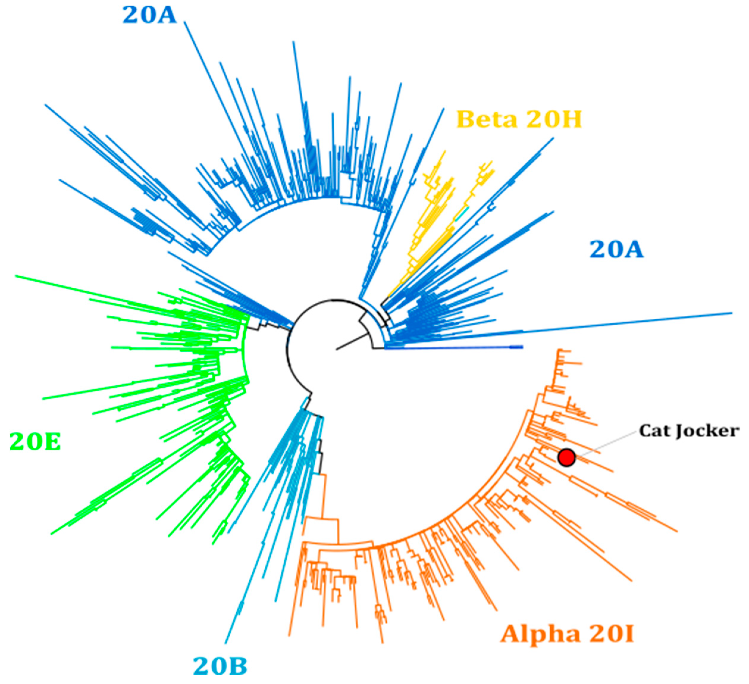 Viruses 13 01759 g003