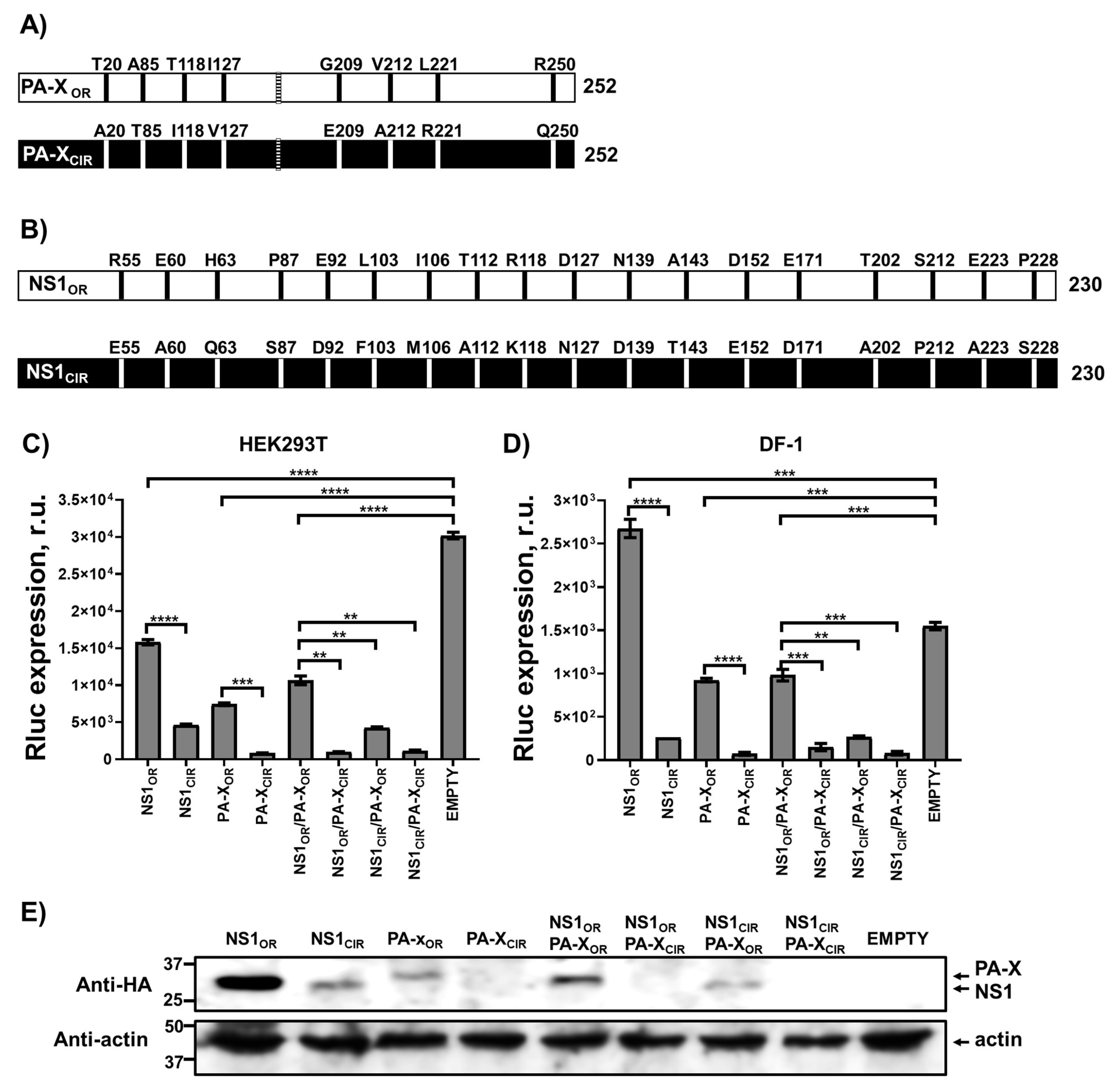 Viruses 13 01760 g001