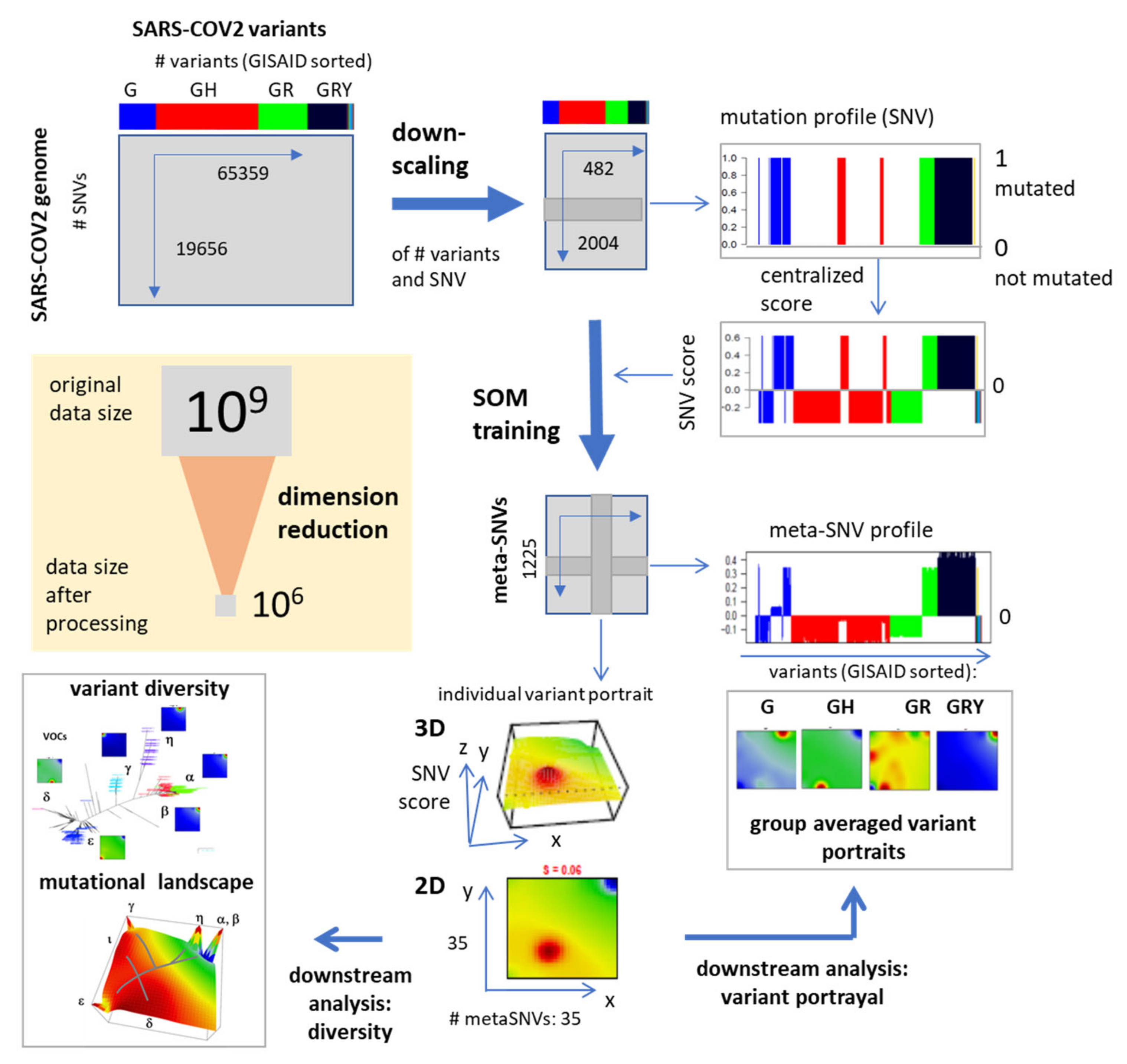 Viruses 13 01764 g001