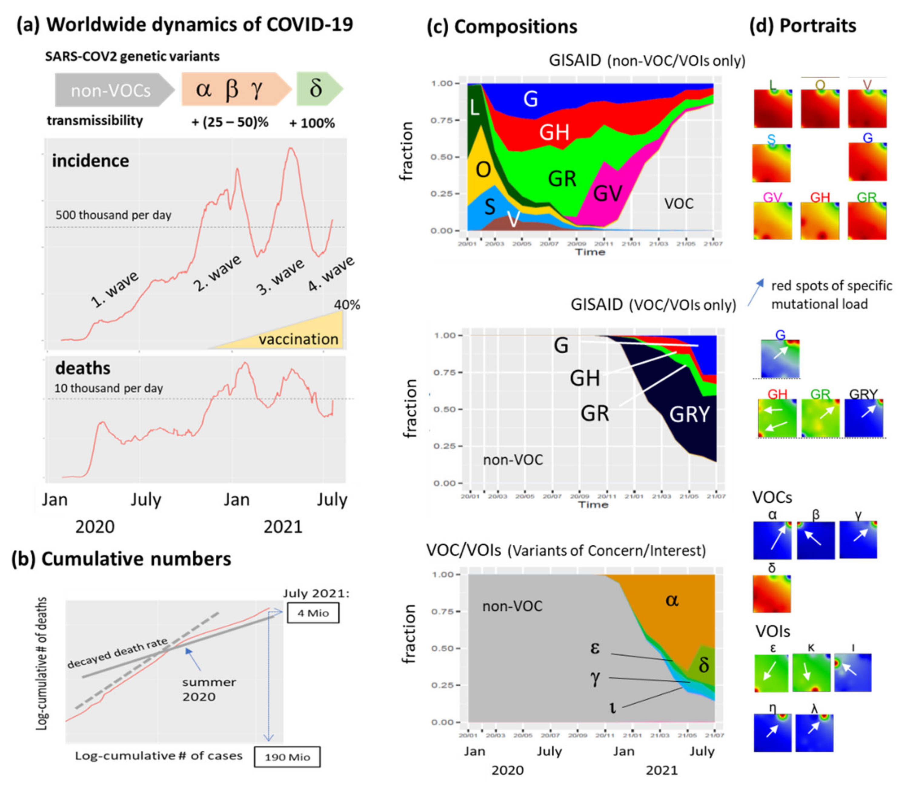 Viruses 13 01764 g002