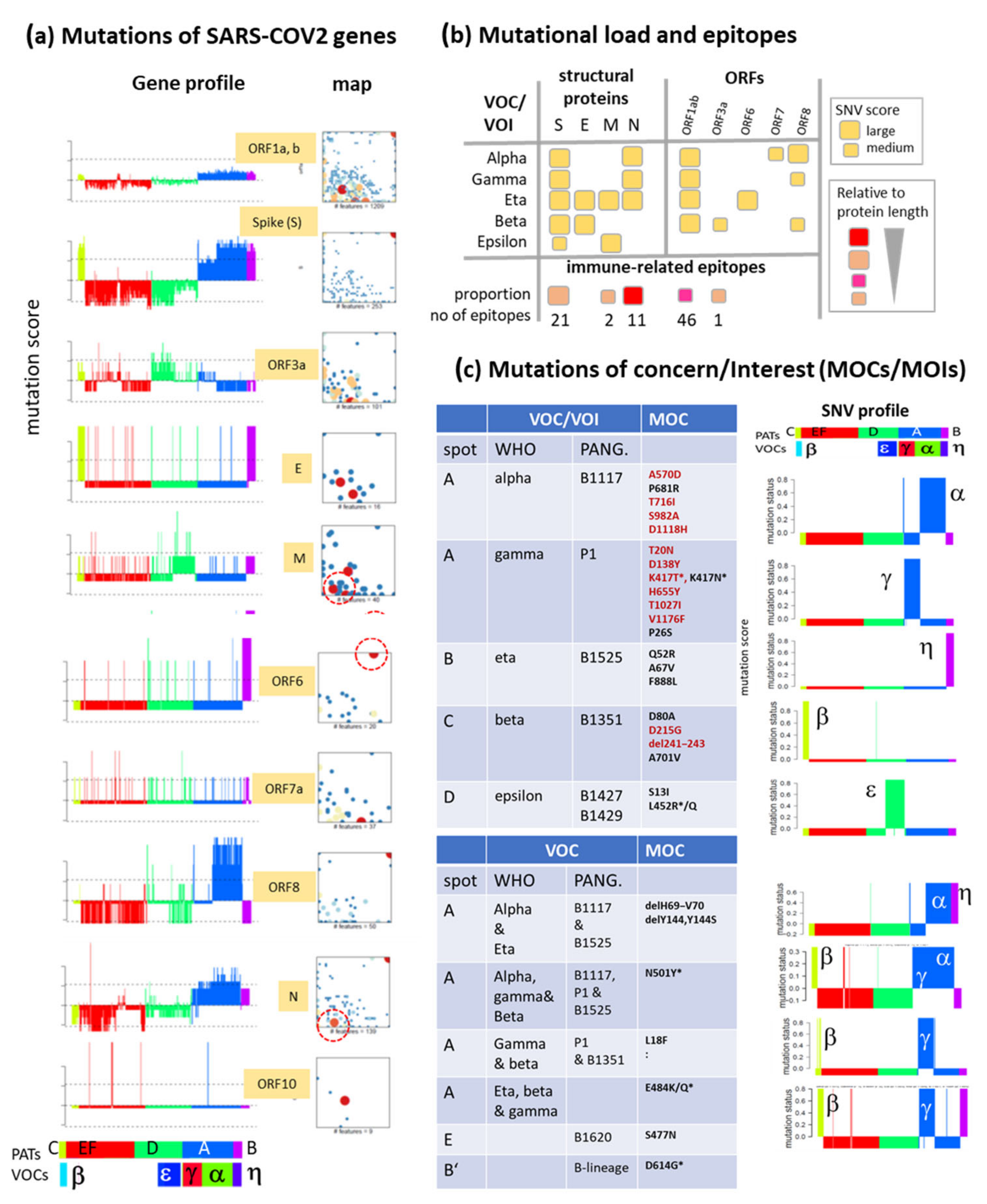 Viruses 13 01764 g007