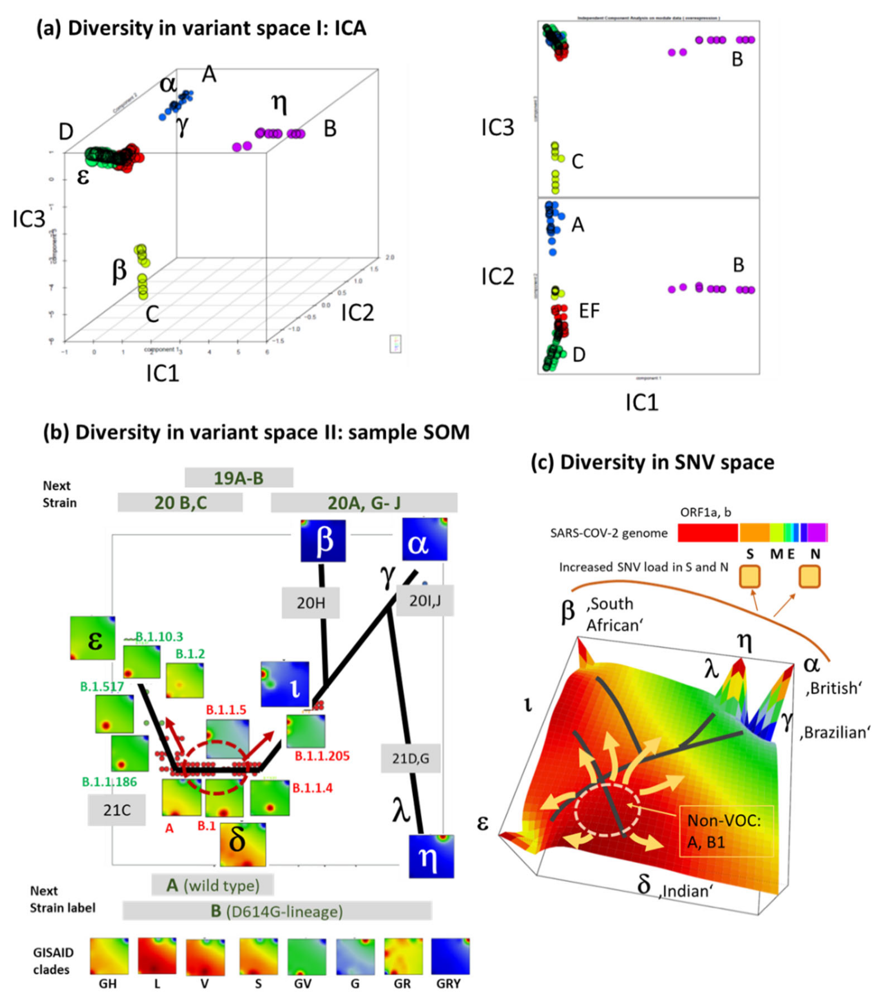Viruses 13 01764 g008