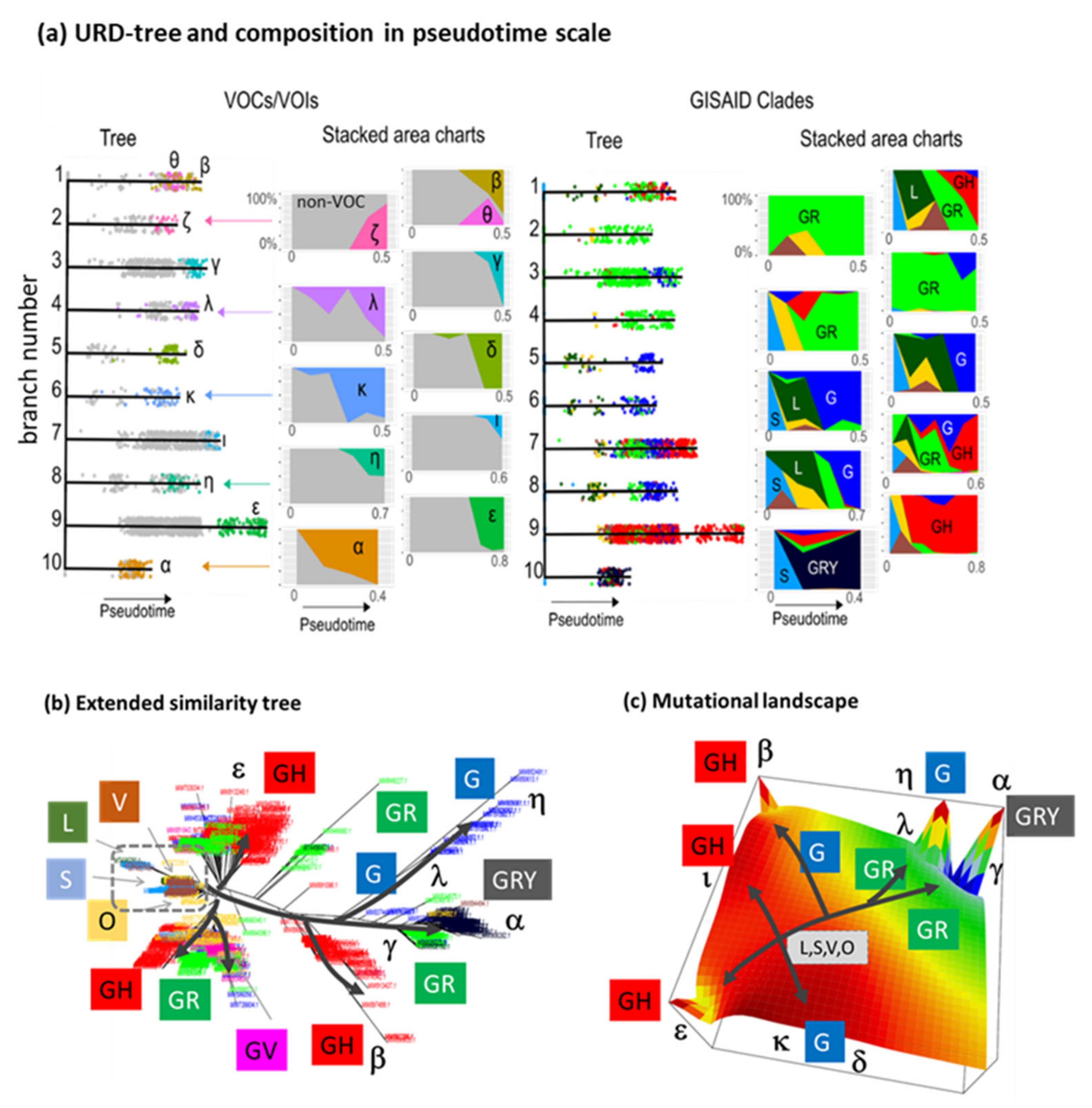 Viruses 13 01764 g009
