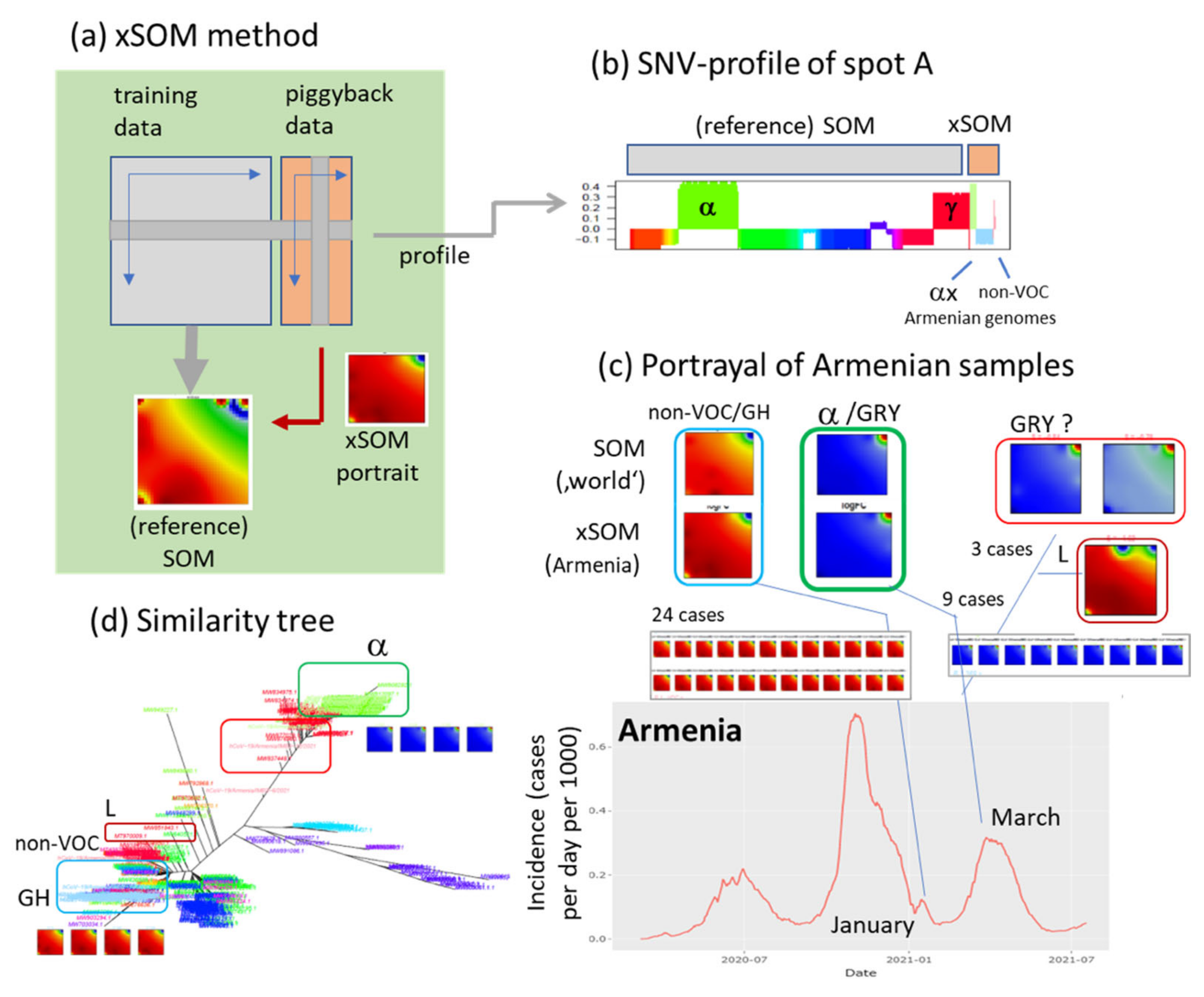 Viruses 13 01764 g010
