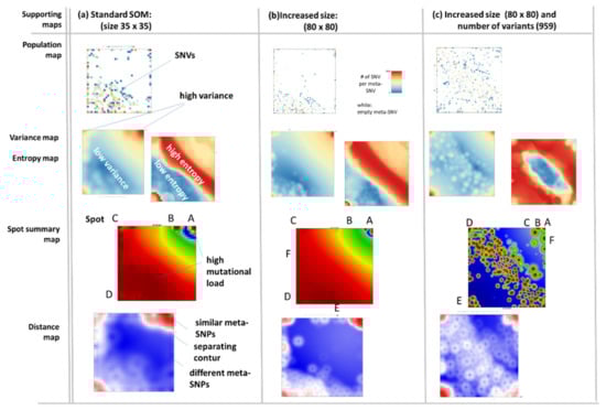 Viruses 13 01764 g0a1 550