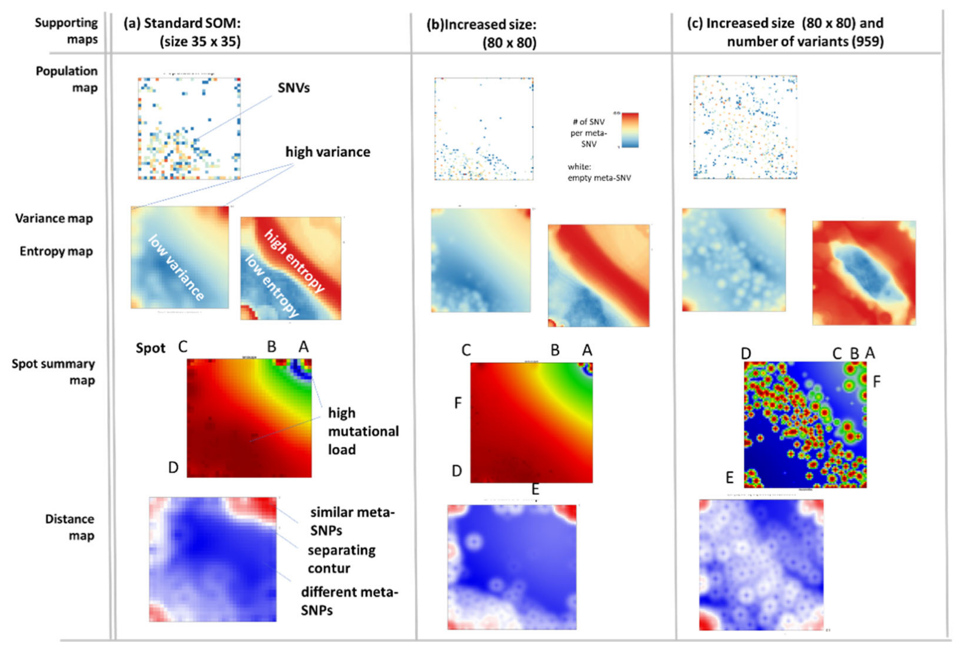 Viruses 13 01764 g0a1