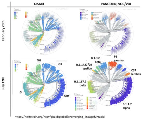 Viruses 13 01764 g0a10 550