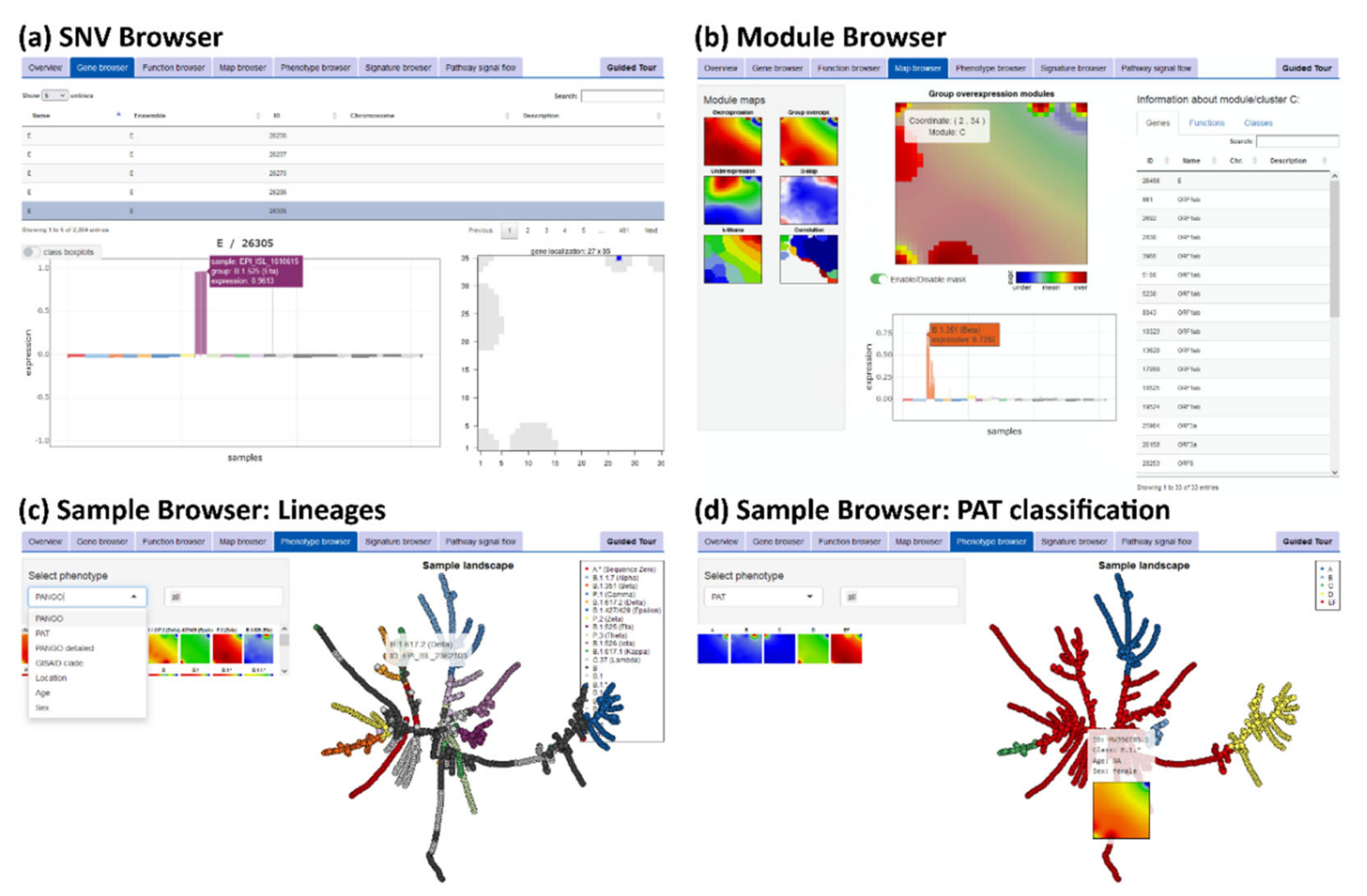 Viruses 13 01764 g0a11