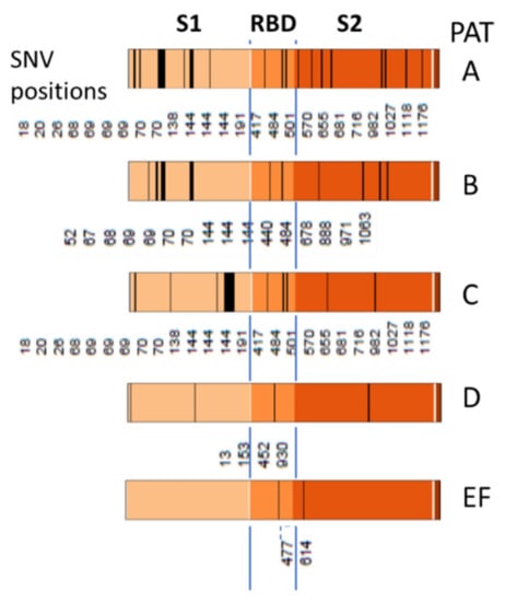 Viruses 13 01764 g0a7 550