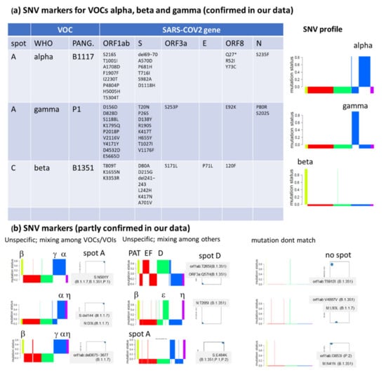 Viruses 13 01764 g0a8 550