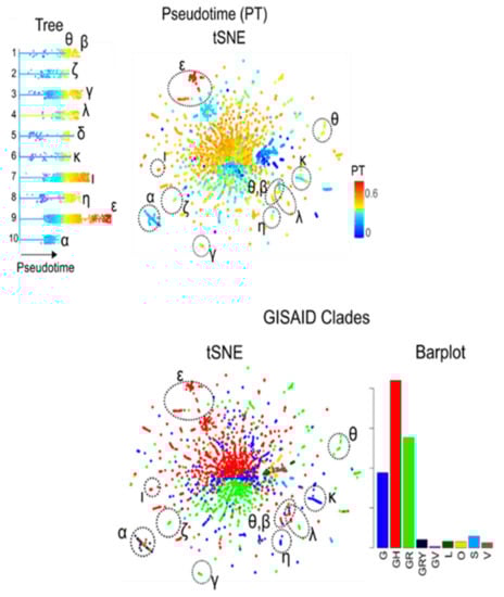 Viruses 13 01764 g0a9 550