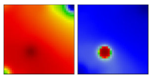 Viruses 13 01764 i017