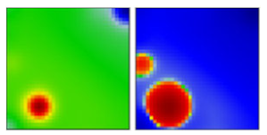 Viruses 13 01764 i018