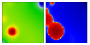 Viruses 13 01764 i022