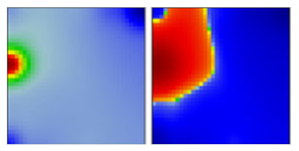 Viruses 13 01764 i024