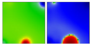 Viruses 13 01764 i026