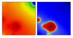 Viruses 13 01764 i031