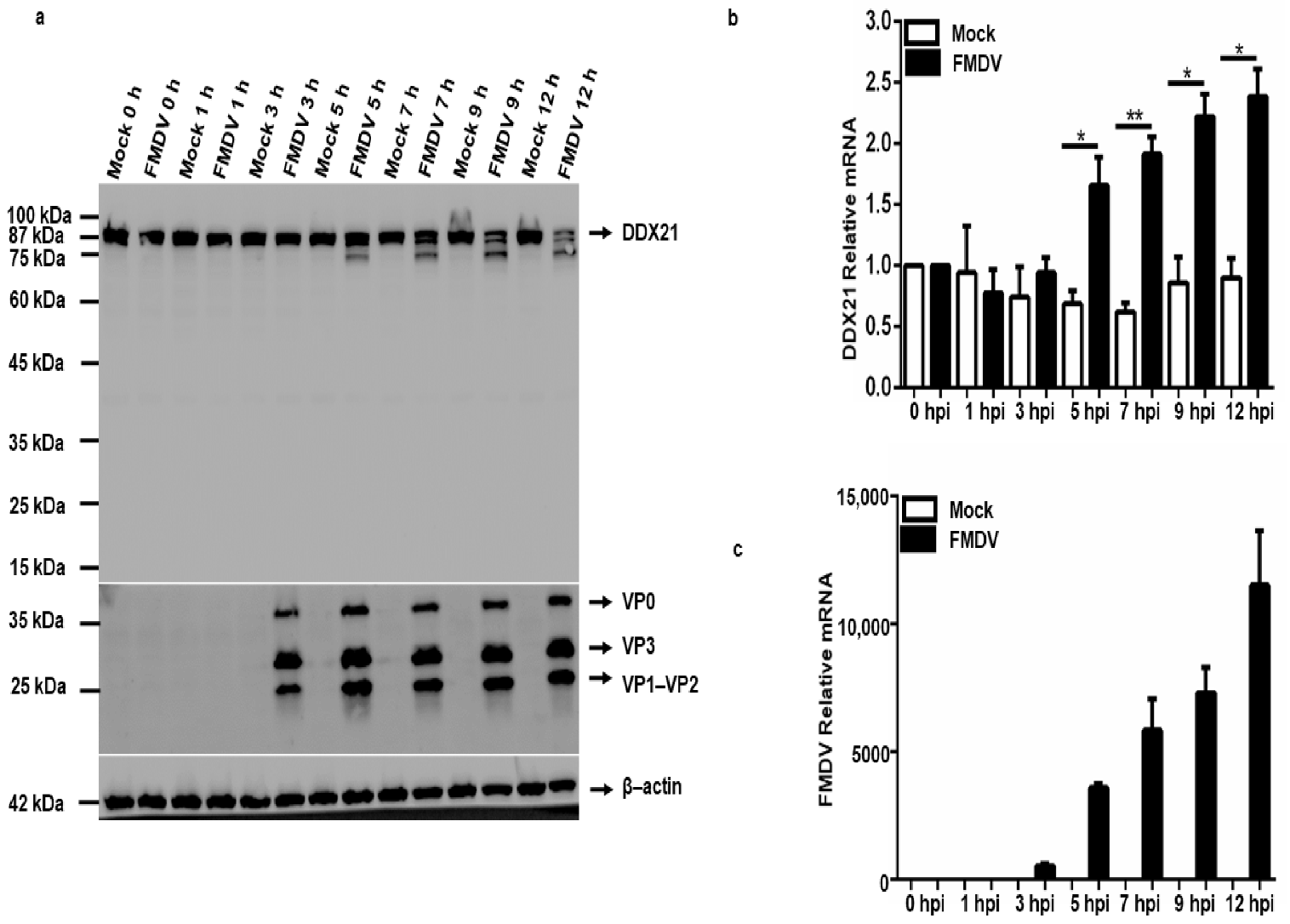 Viruses 13 01765 g006