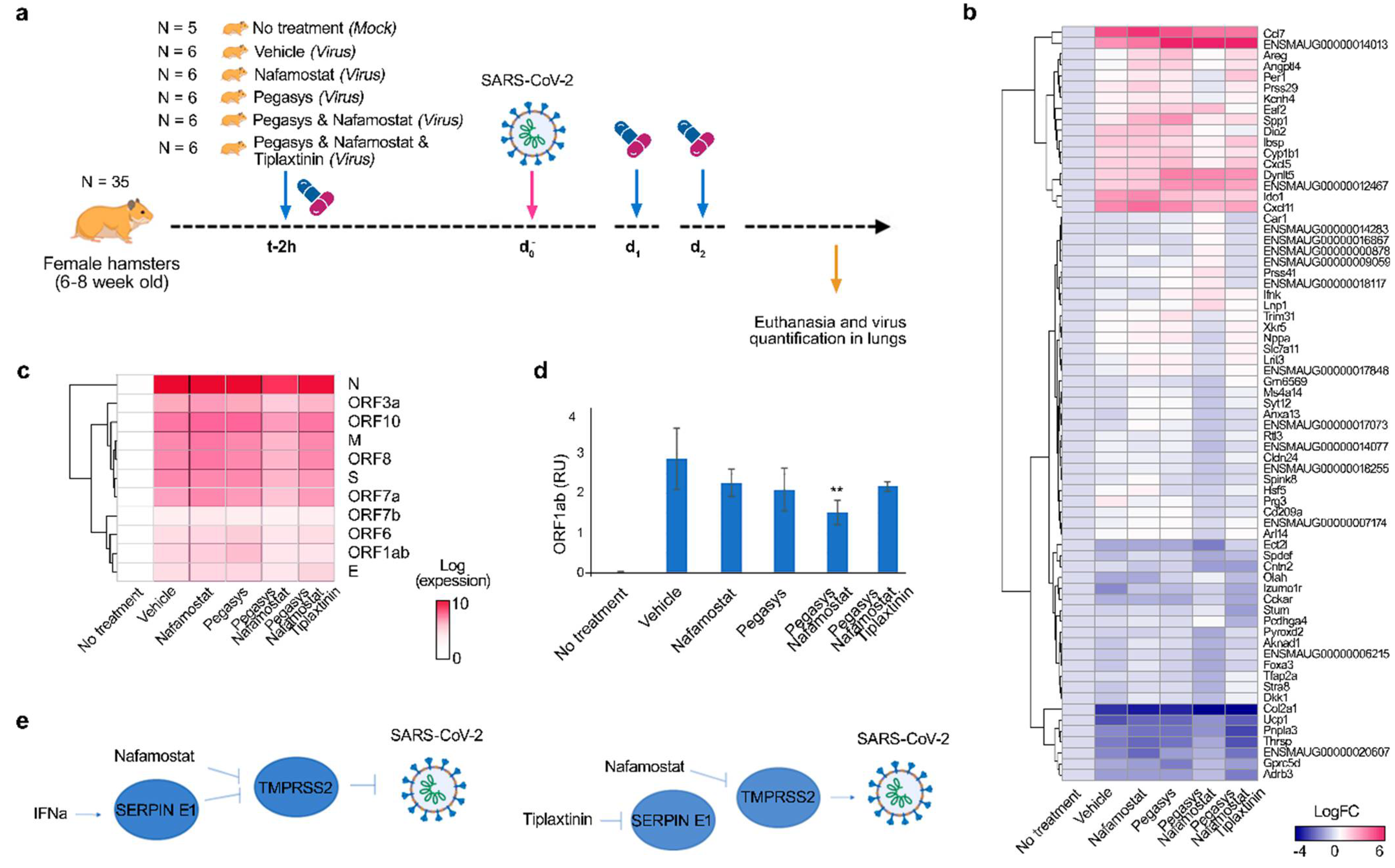 Viruses 13 01768 g002