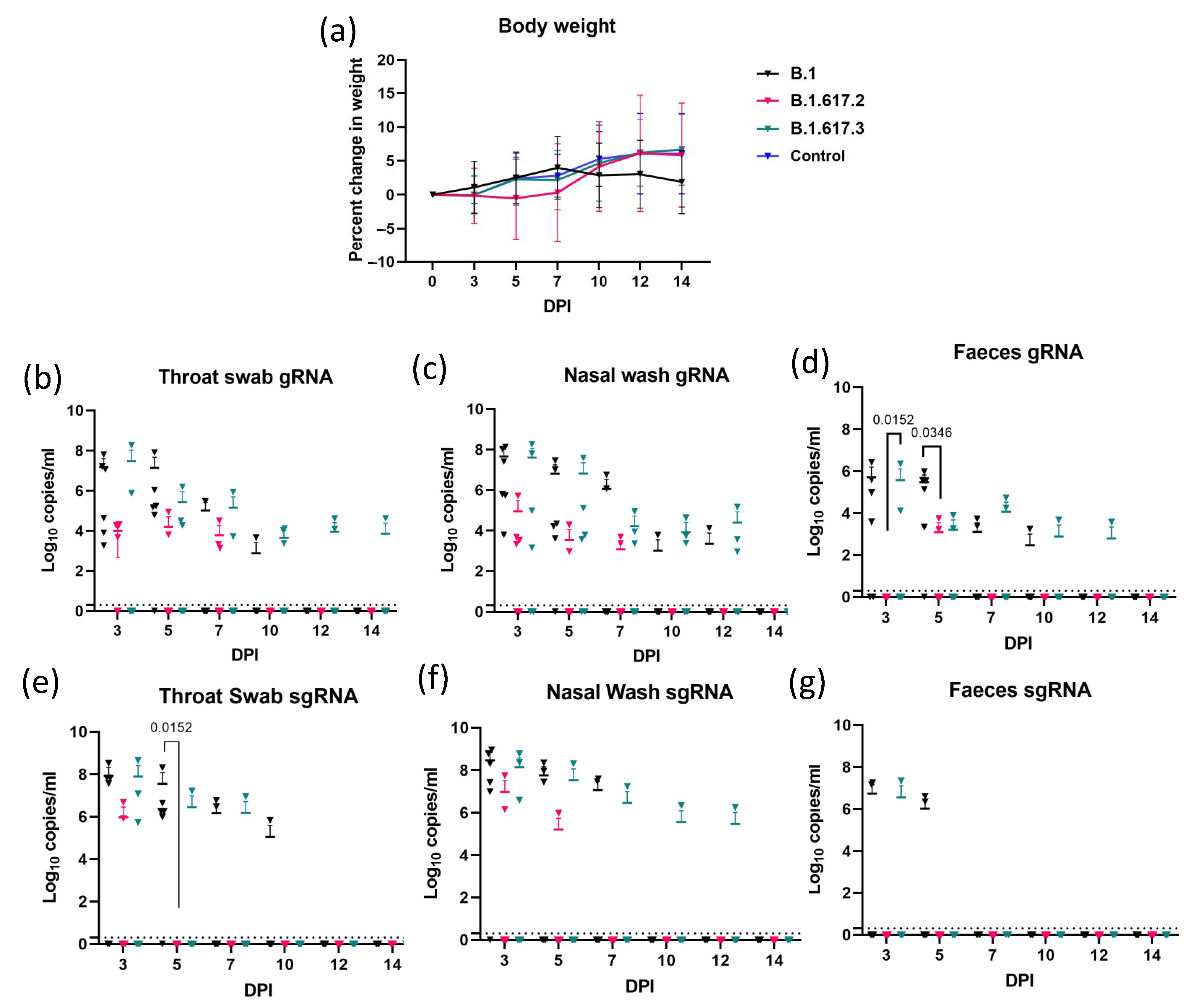Viruses 13 01773 g001
