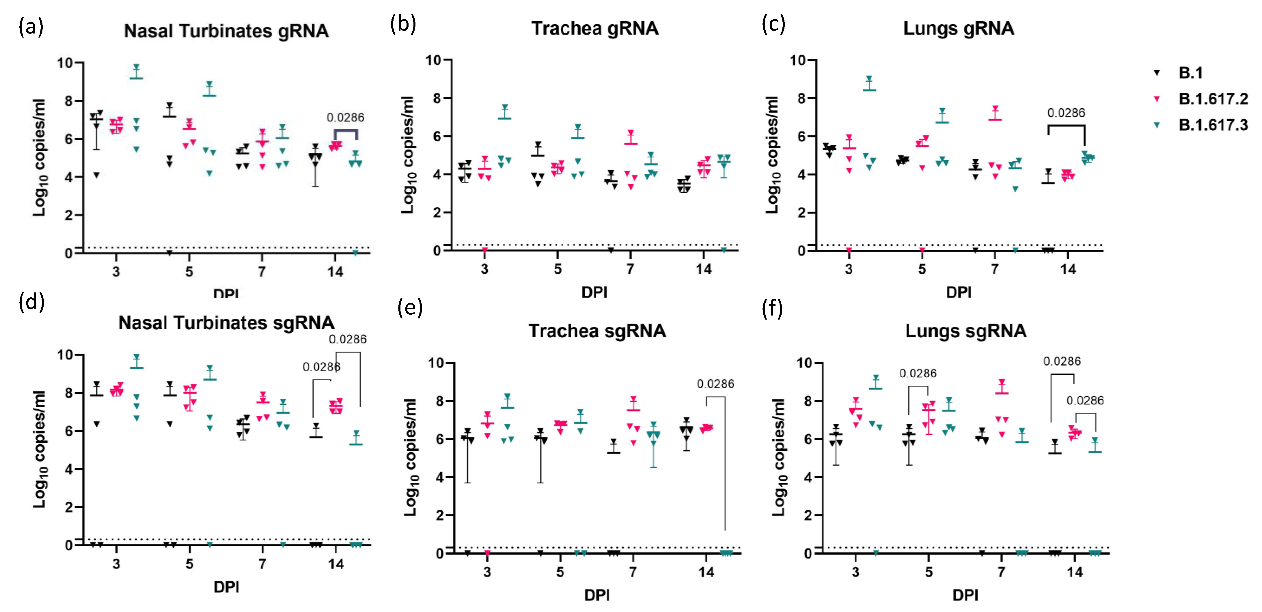 Viruses 13 01773 g002