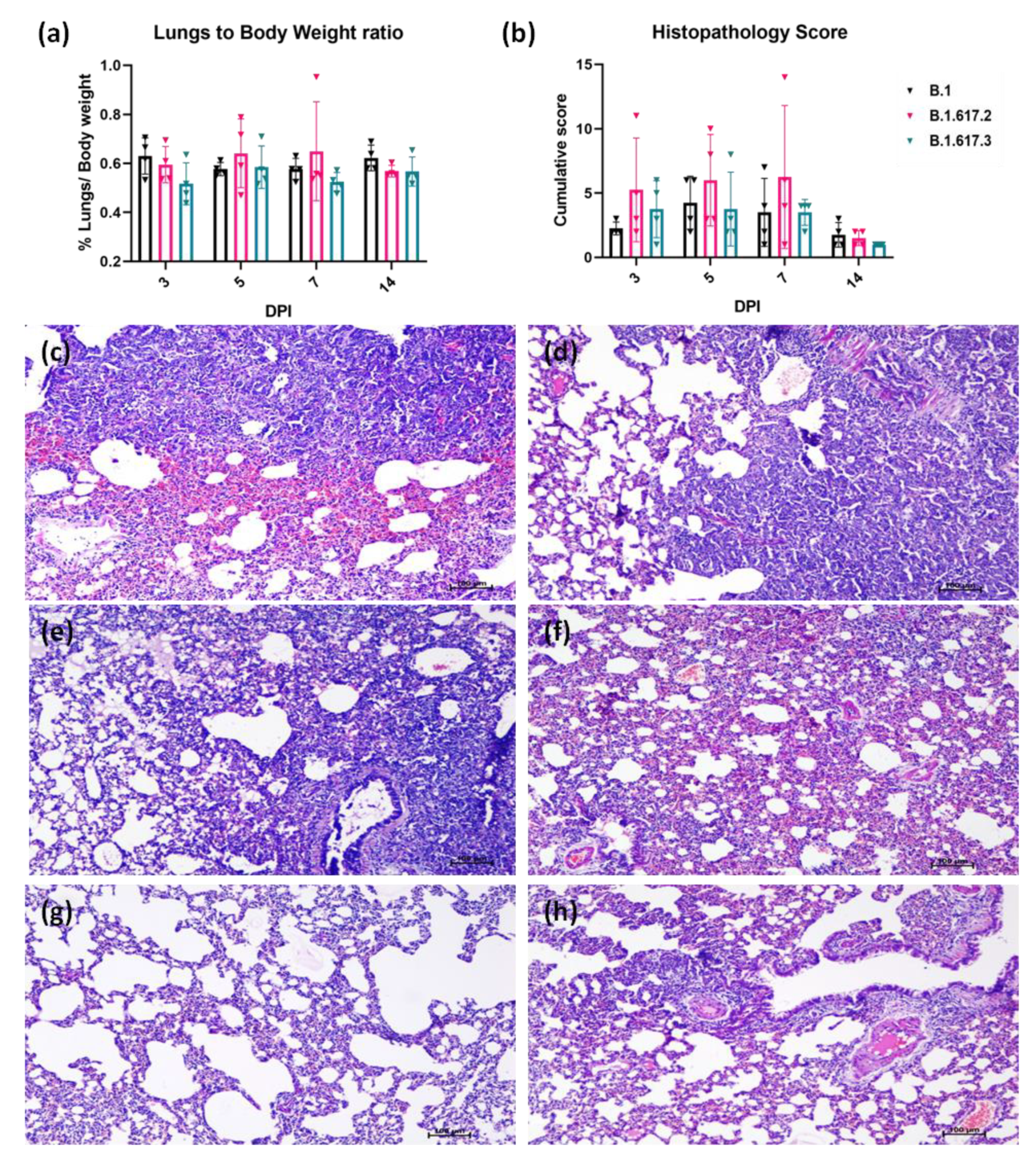Viruses 13 01773 g004