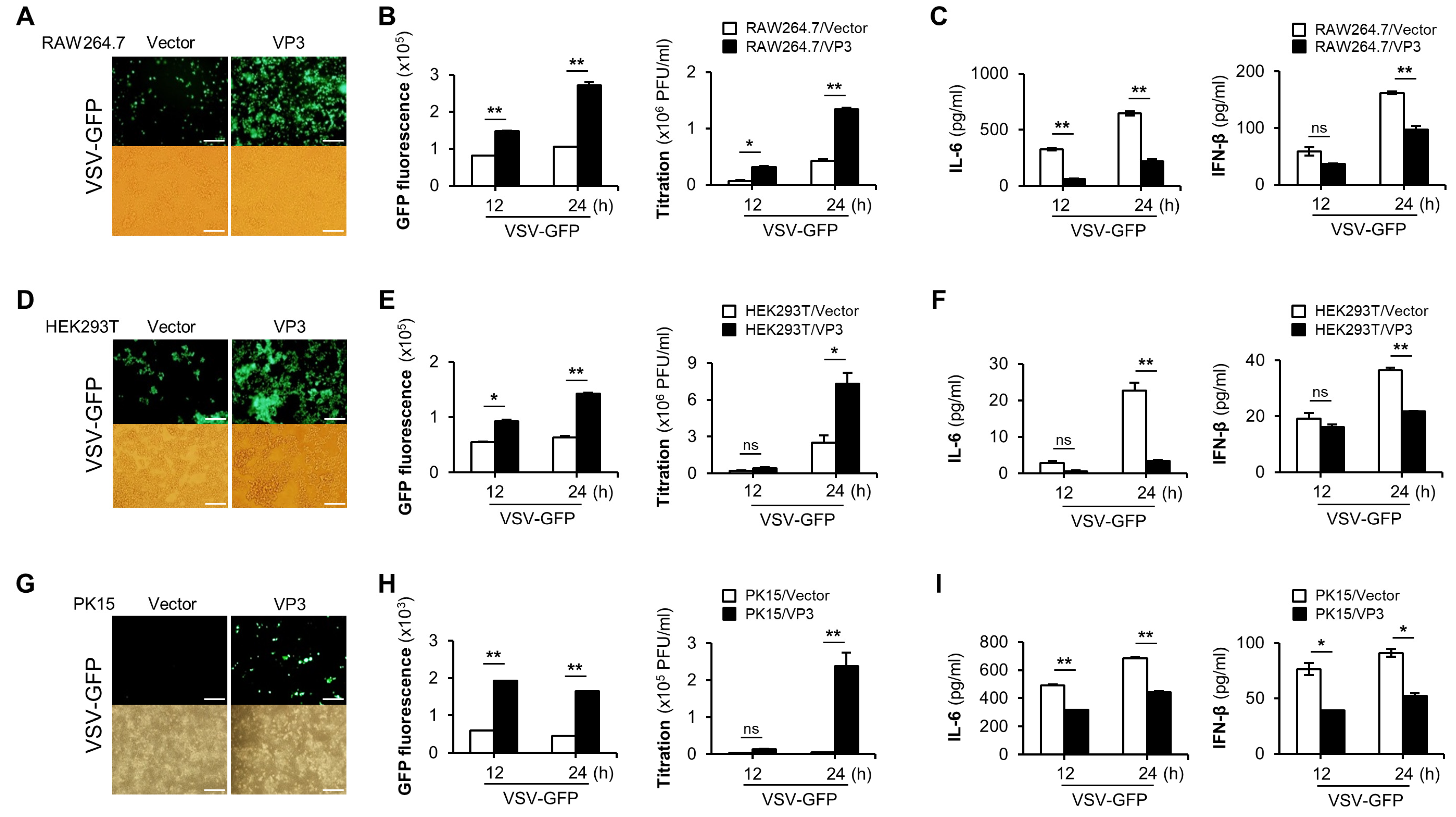 Viruses 13 01776 g001