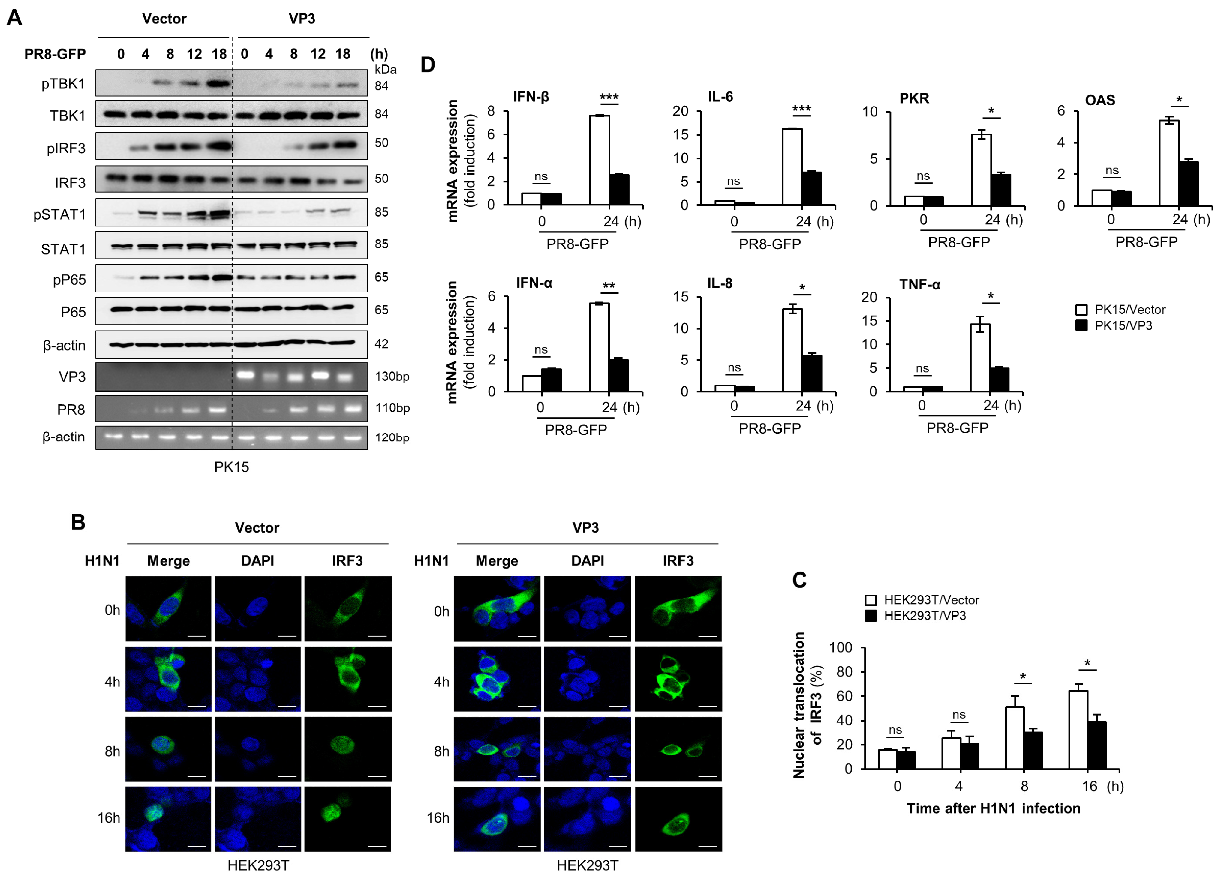 Viruses 13 01776 g002