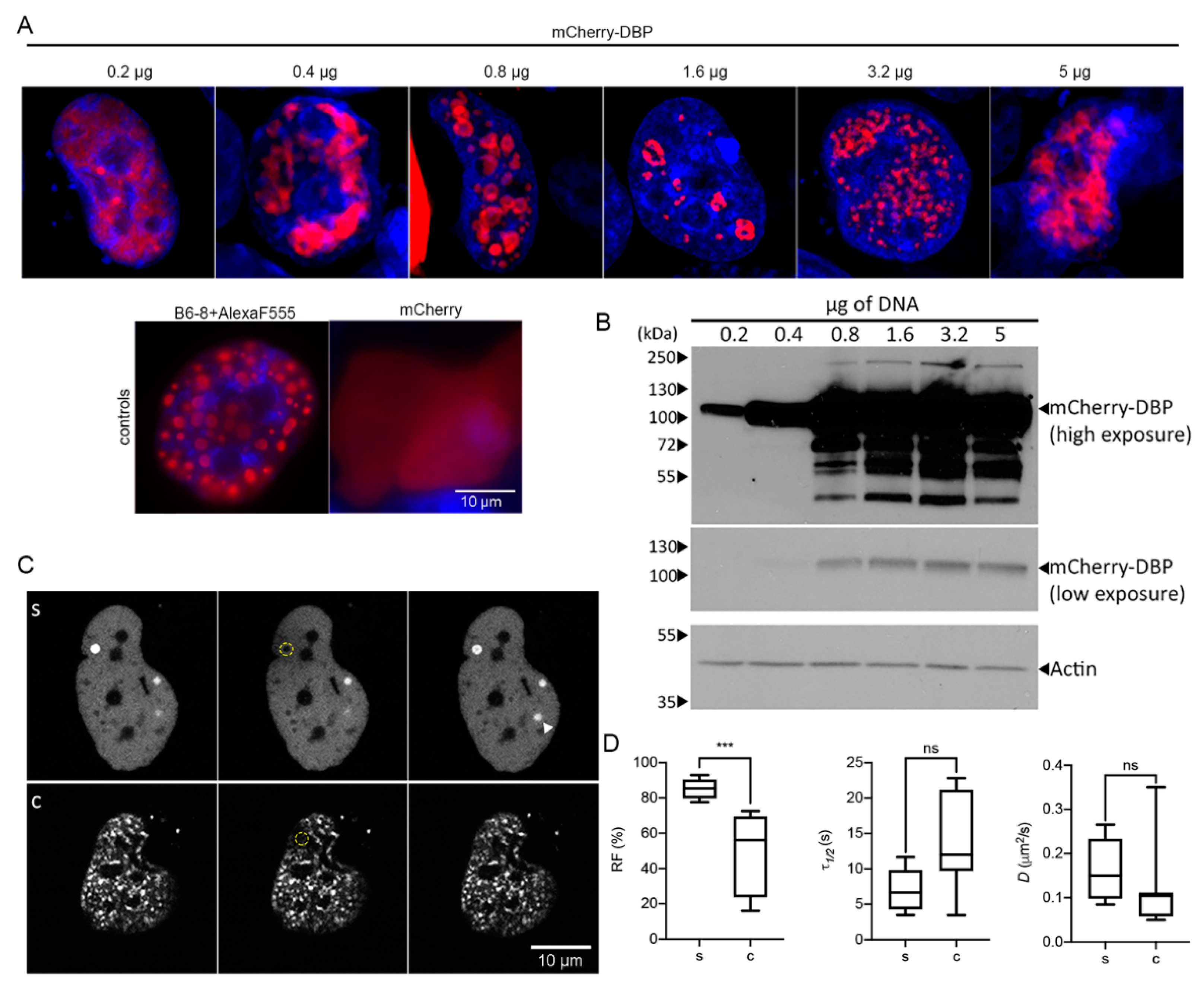 Viruses 13 01778 g005