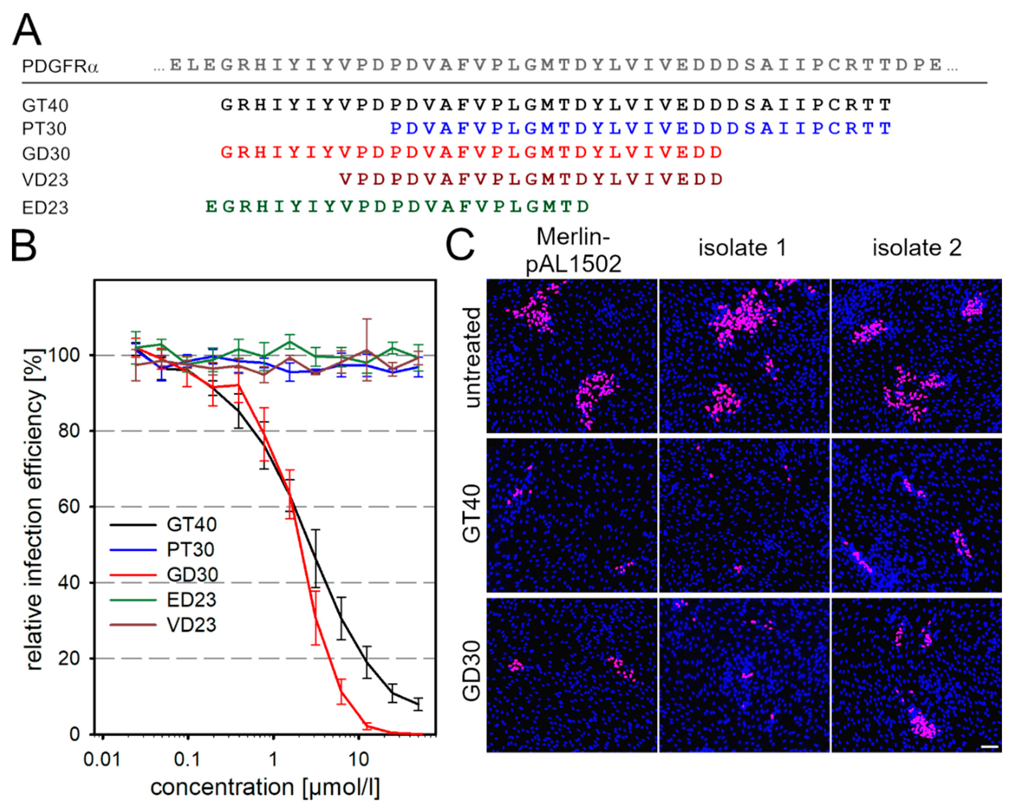 Viruses 13 01780 g002