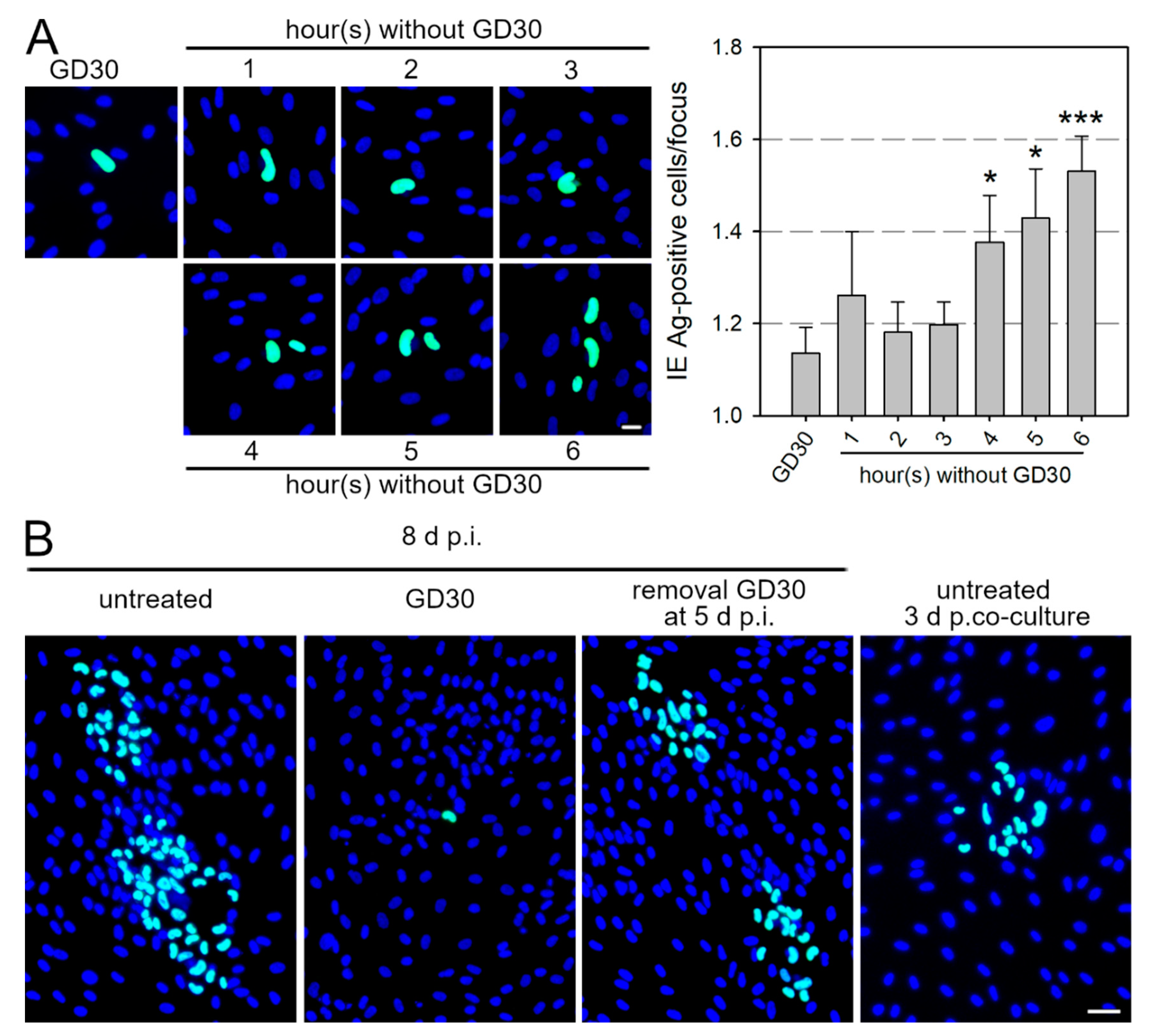 Viruses 13 01780 g005