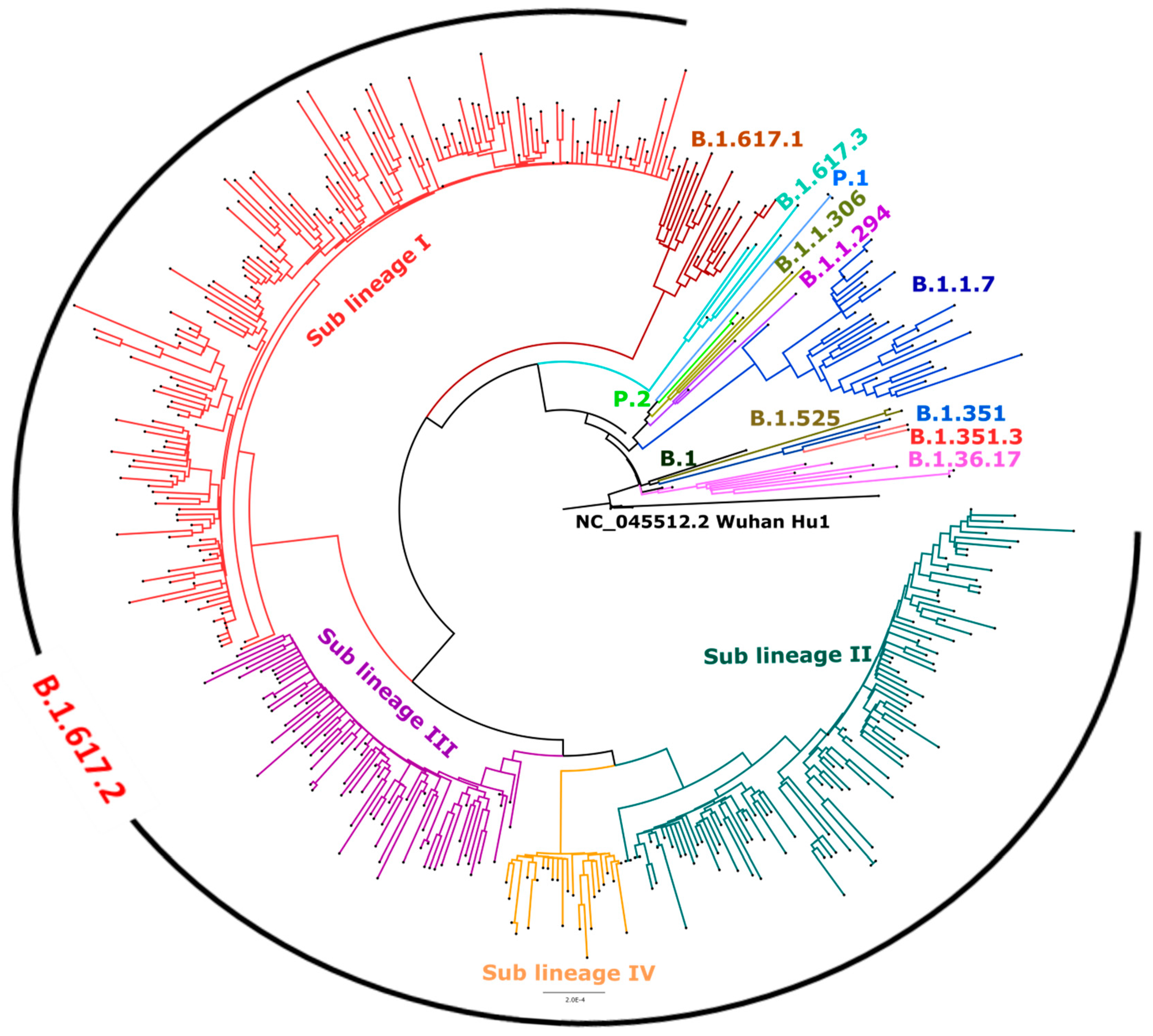 Viruses 13 01782 g004