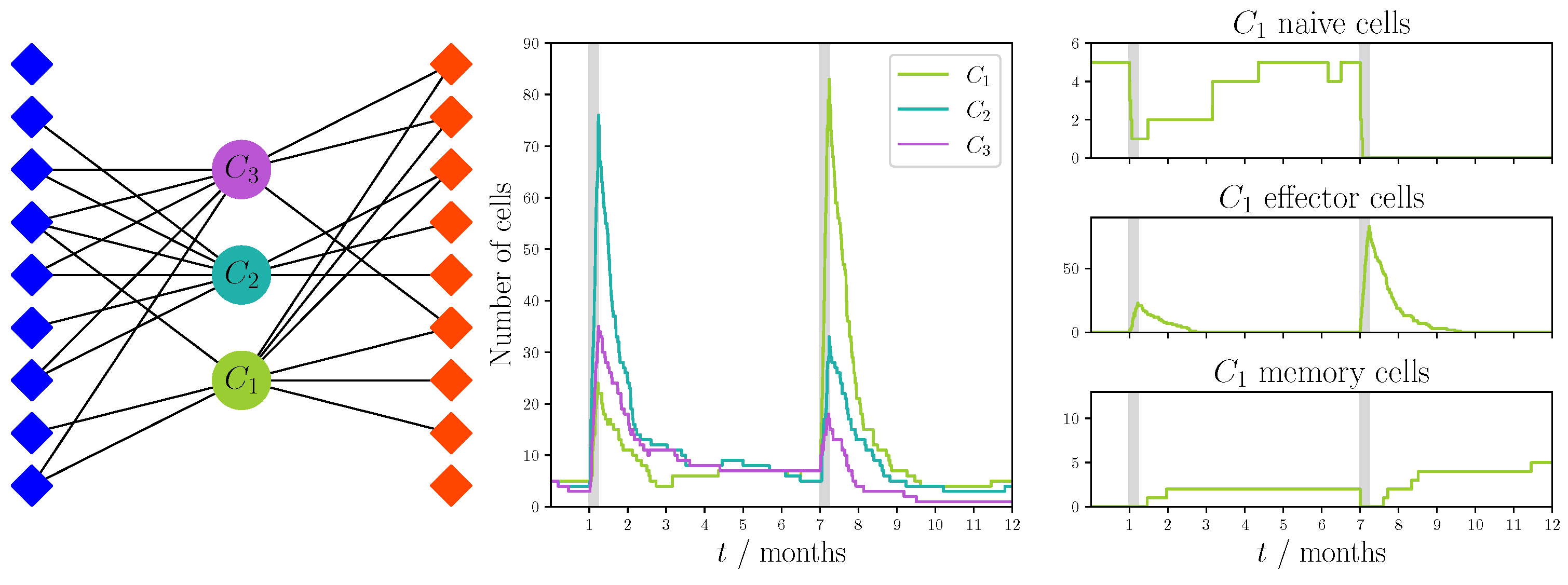 Viruses 13 01786 g010 Viruses 13 01786 g010