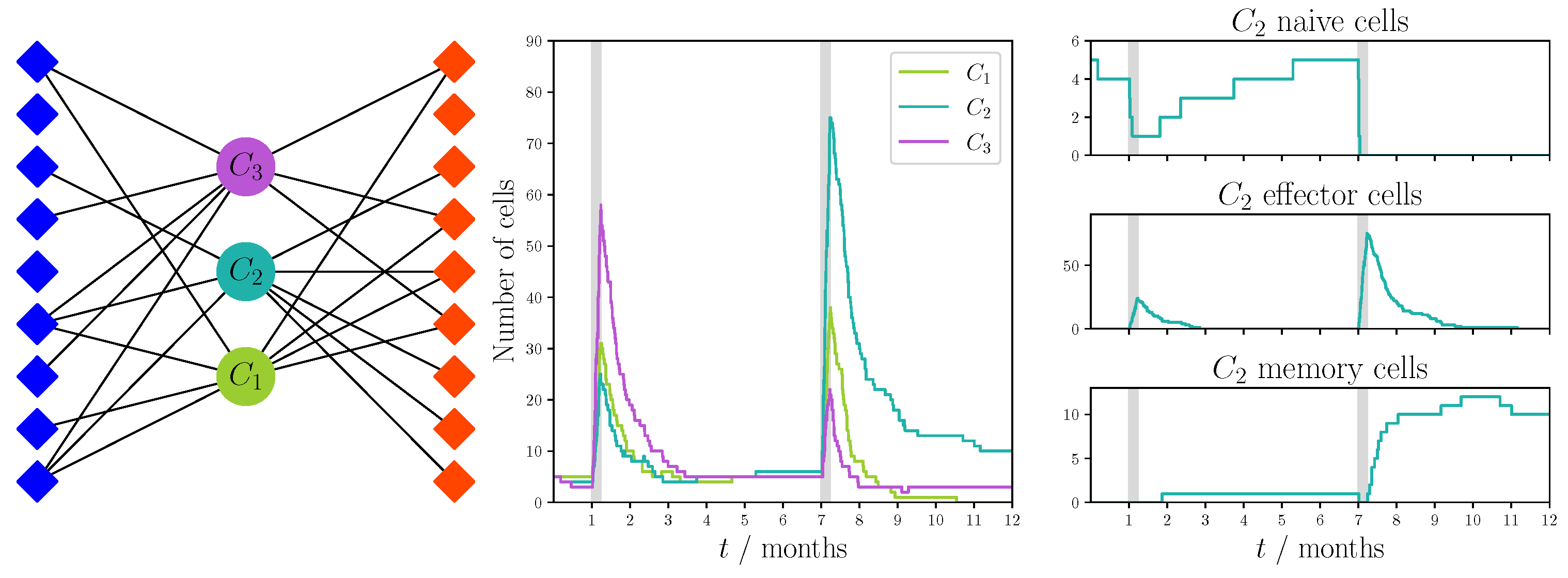Viruses 13 01786 g011 Viruses 13 01786 g011
