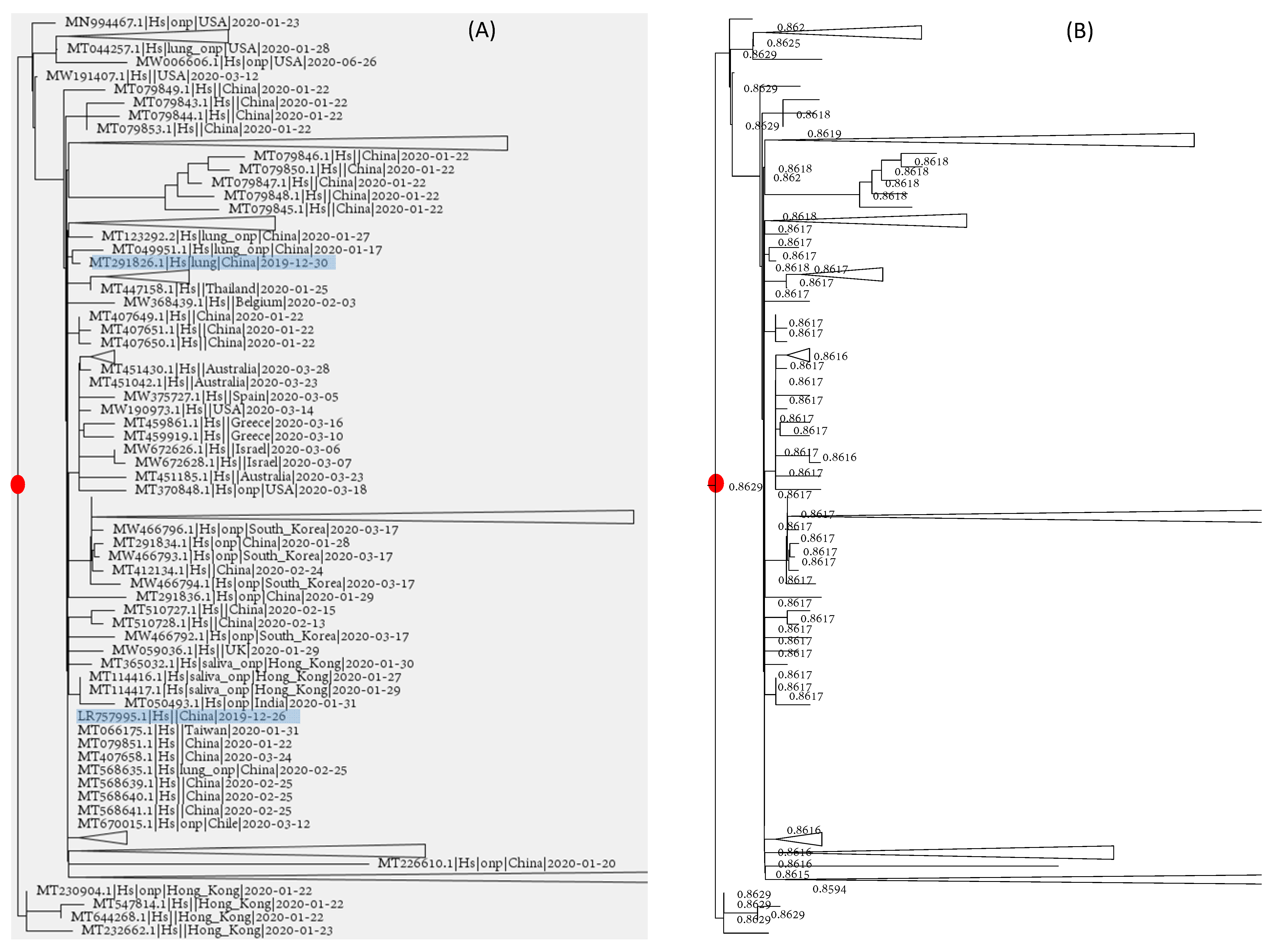 Viruses 13 01790 g005