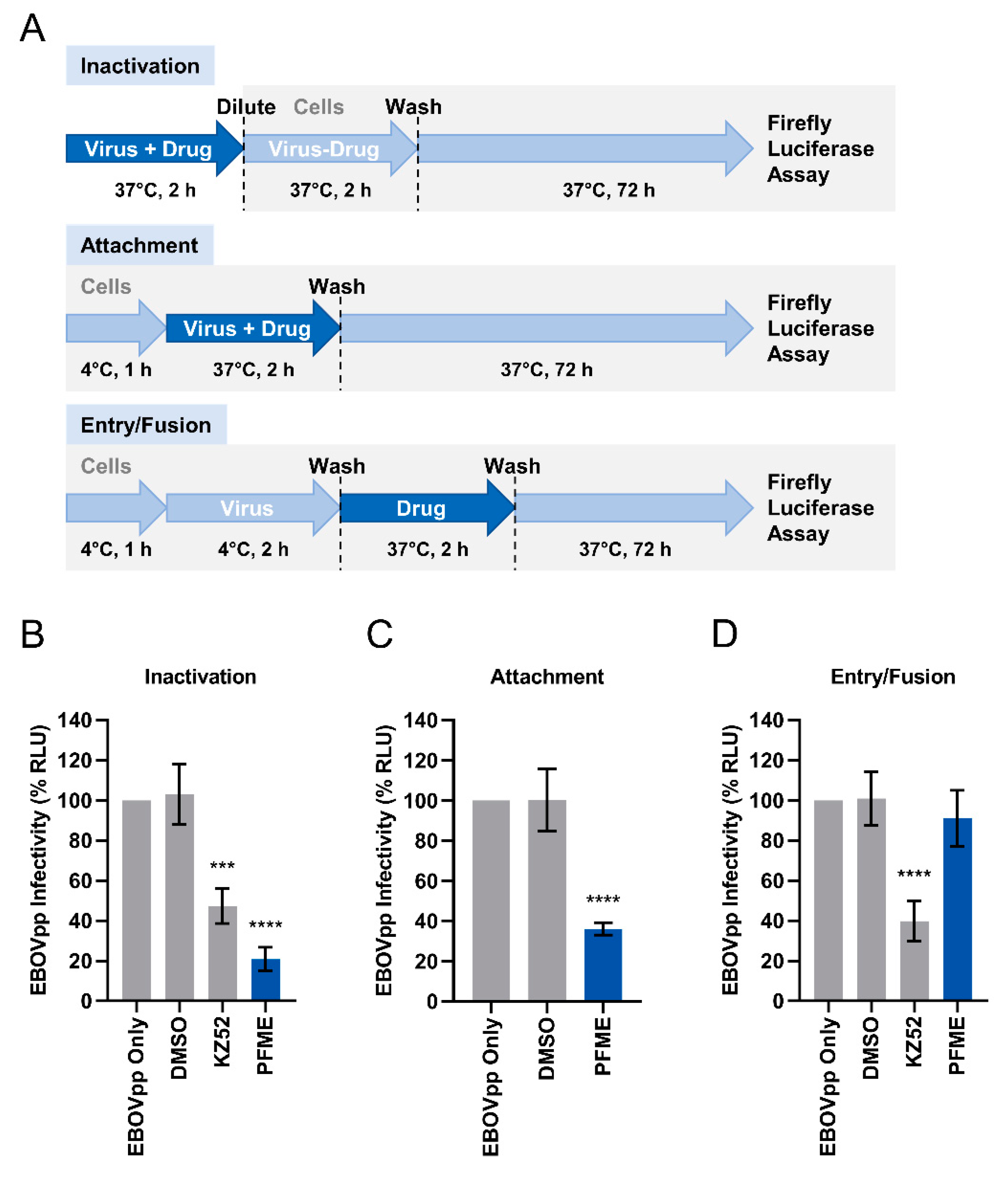 Viruses 13 01793 g005