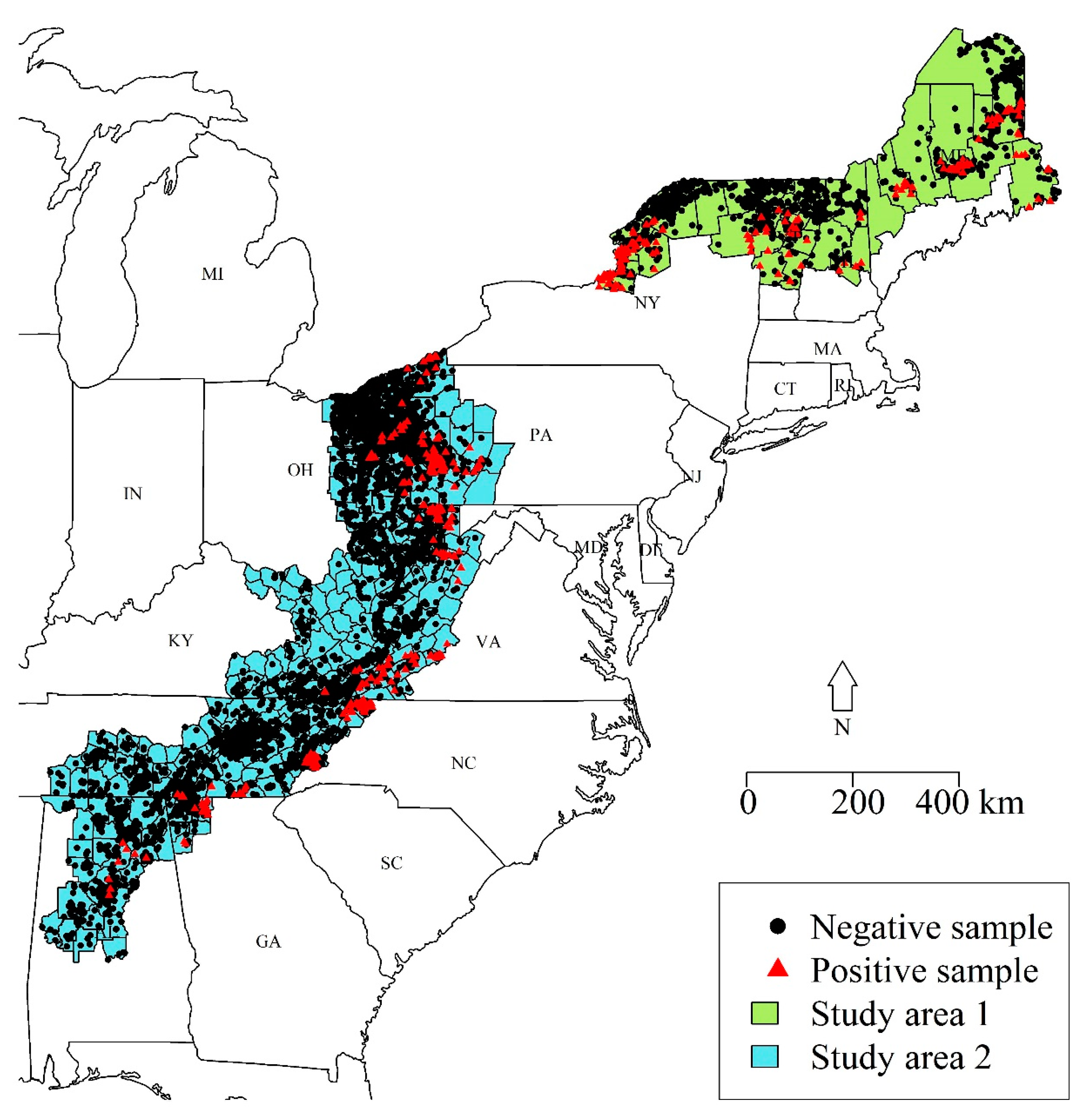 Viruses 13 01795 g001
