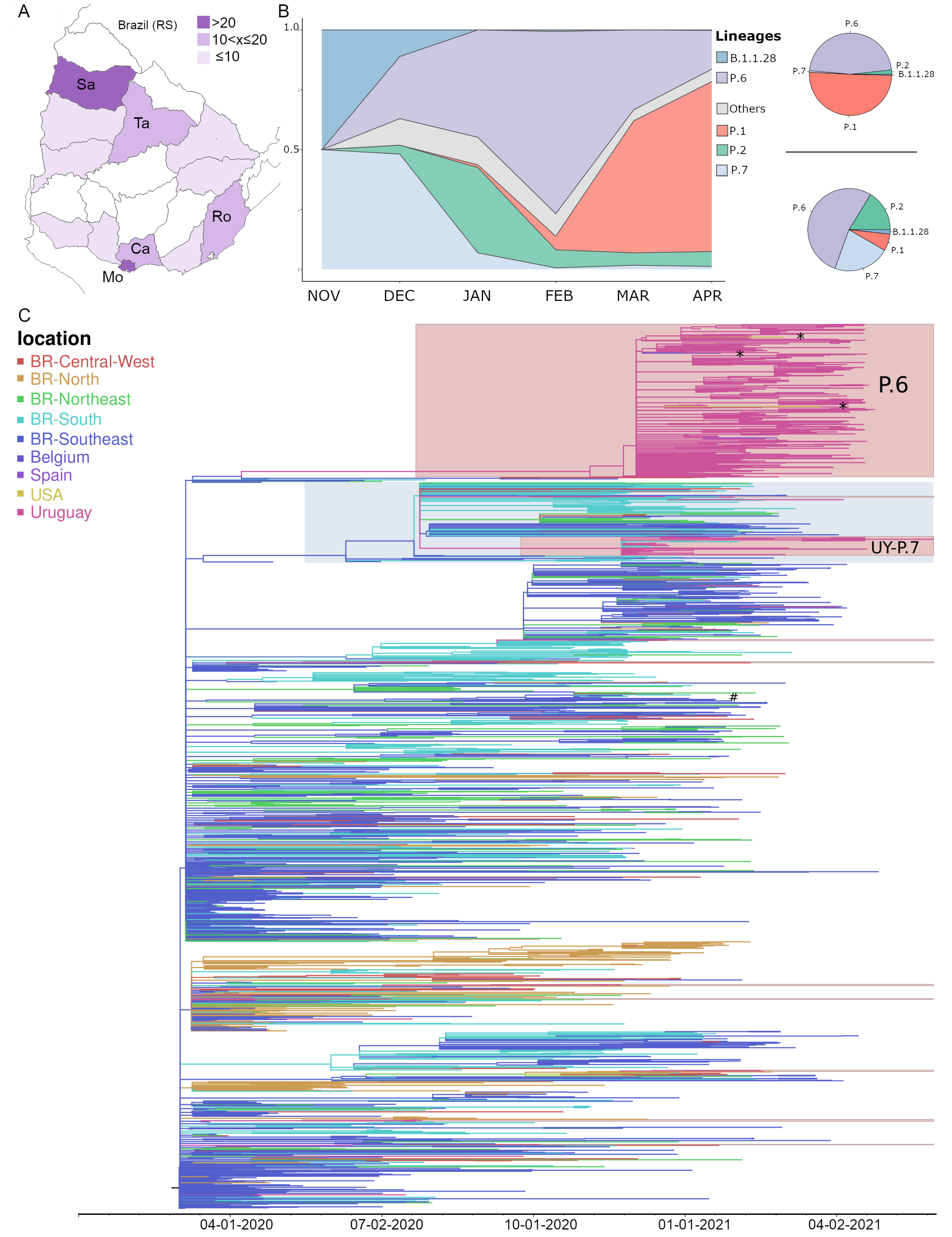 Viruses 13 01801 g001