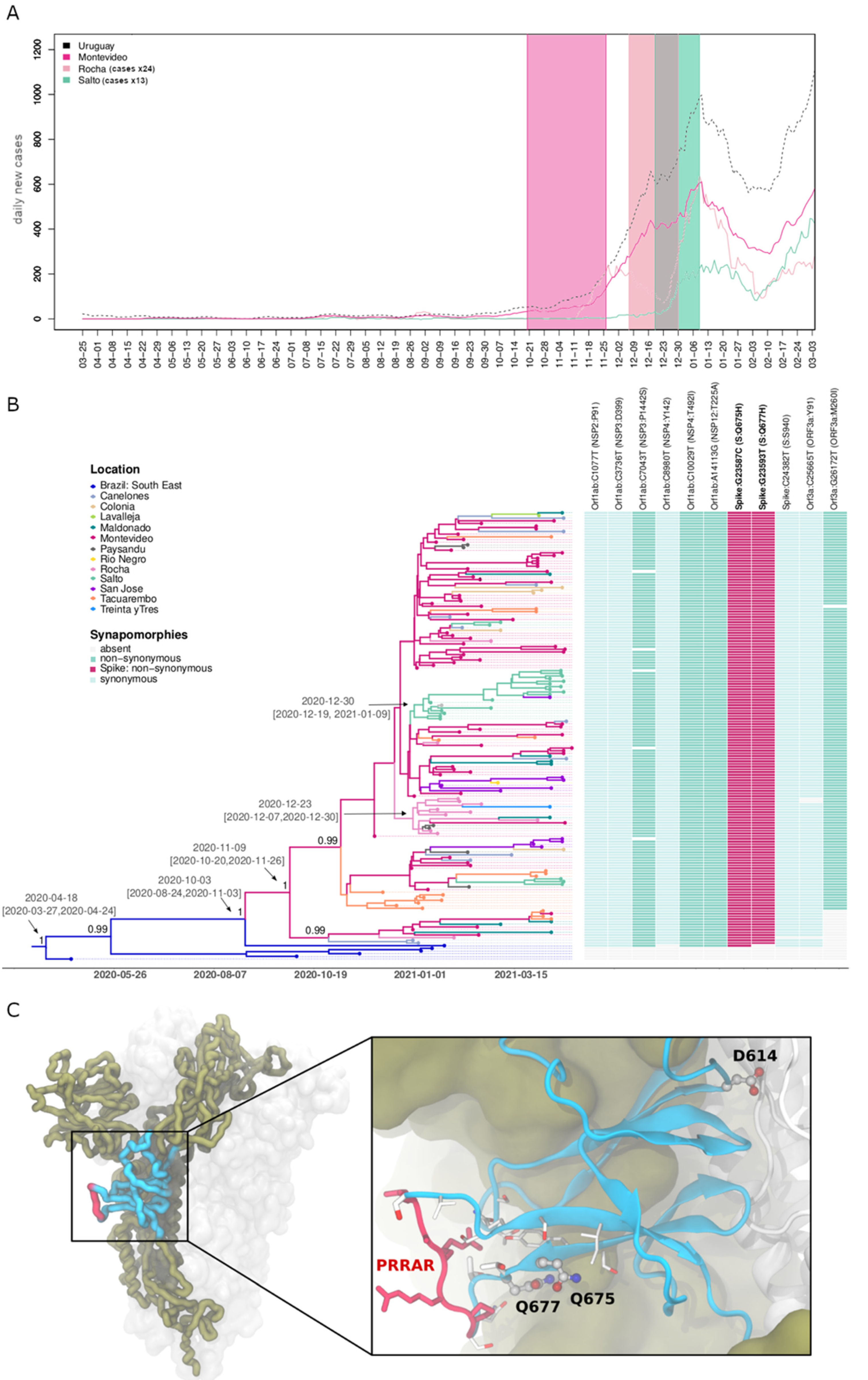 Viruses 13 01801 g002