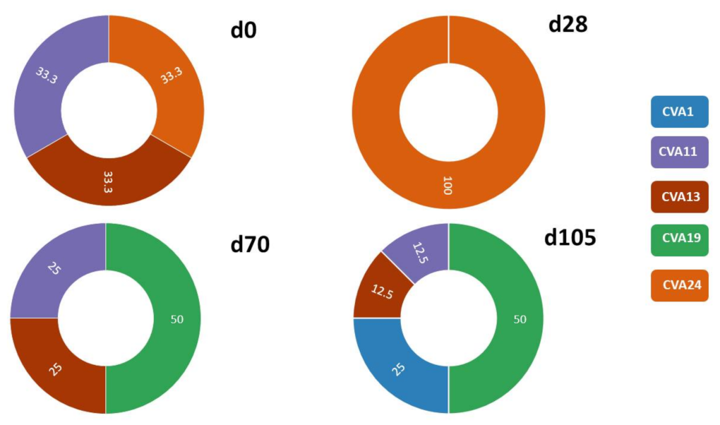Viruses 13 01803 g002
