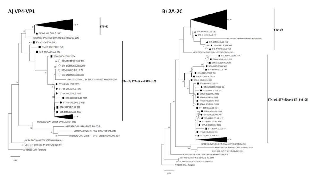 Viruses 13 01803 g004