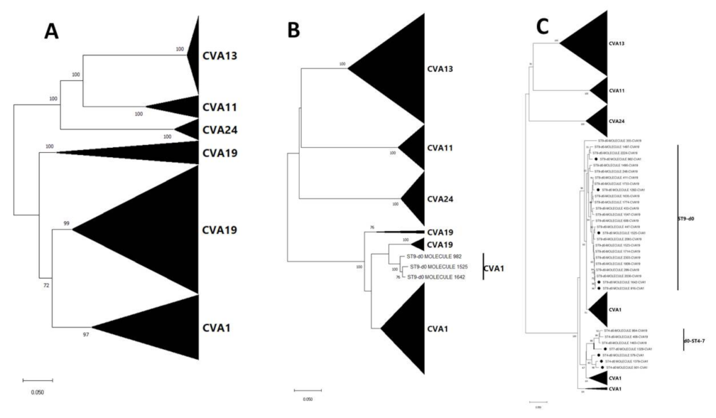 Viruses 13 01803 g005