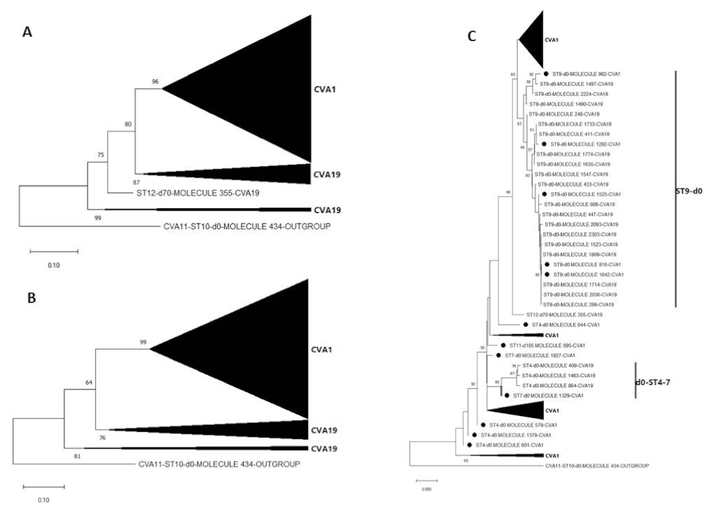Viruses 13 01803 g006