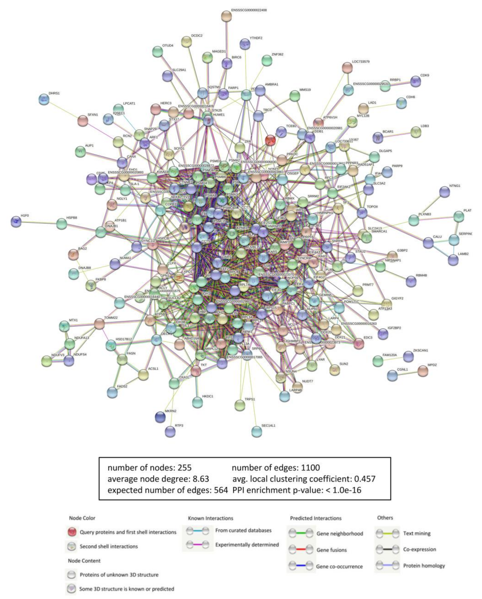 Viruses 13 01804 g002