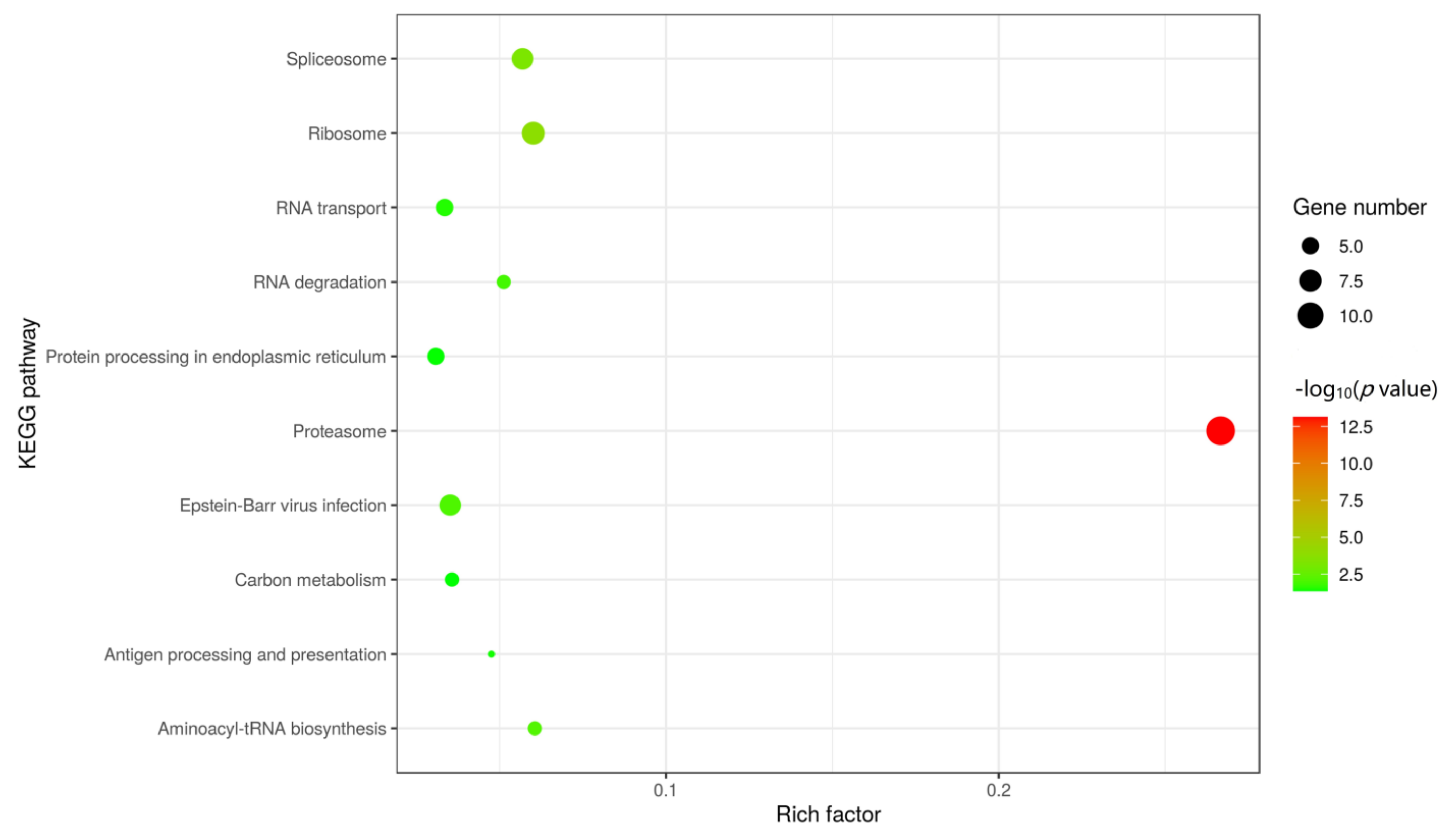 Viruses 13 01804 g004