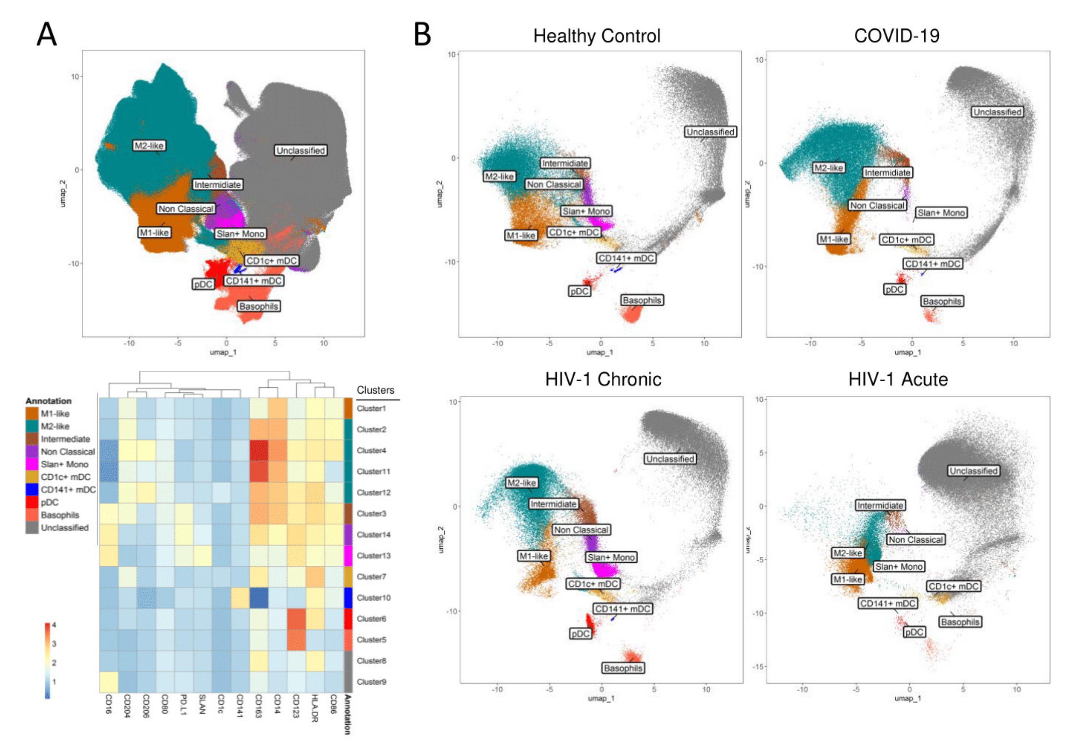 Viruses 13 01805 g001