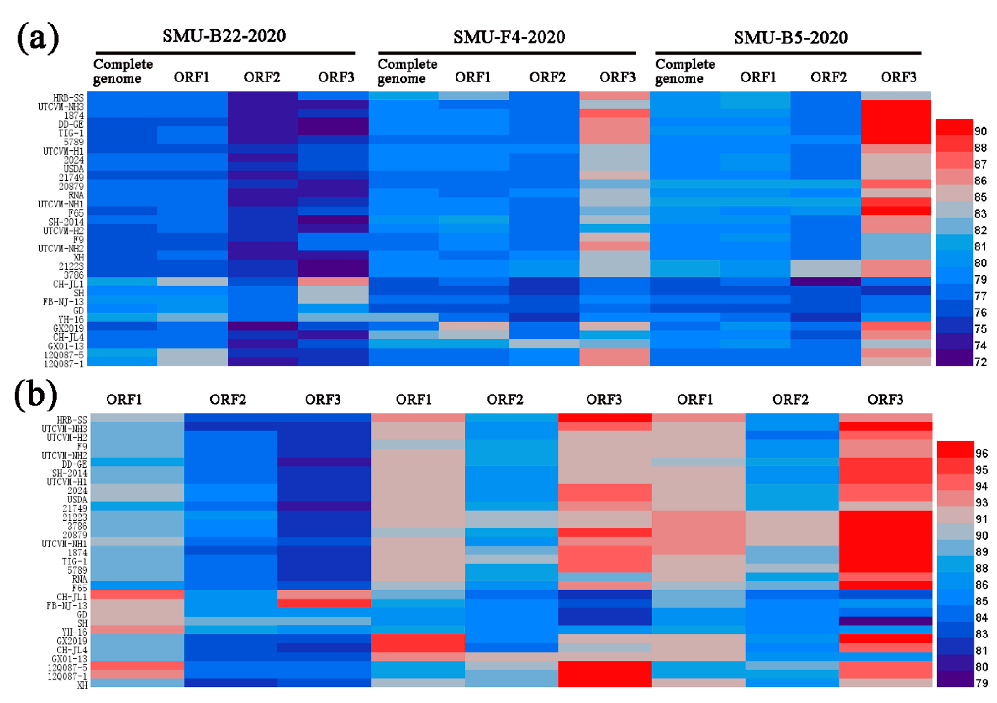 Viruses 13 01812 g003