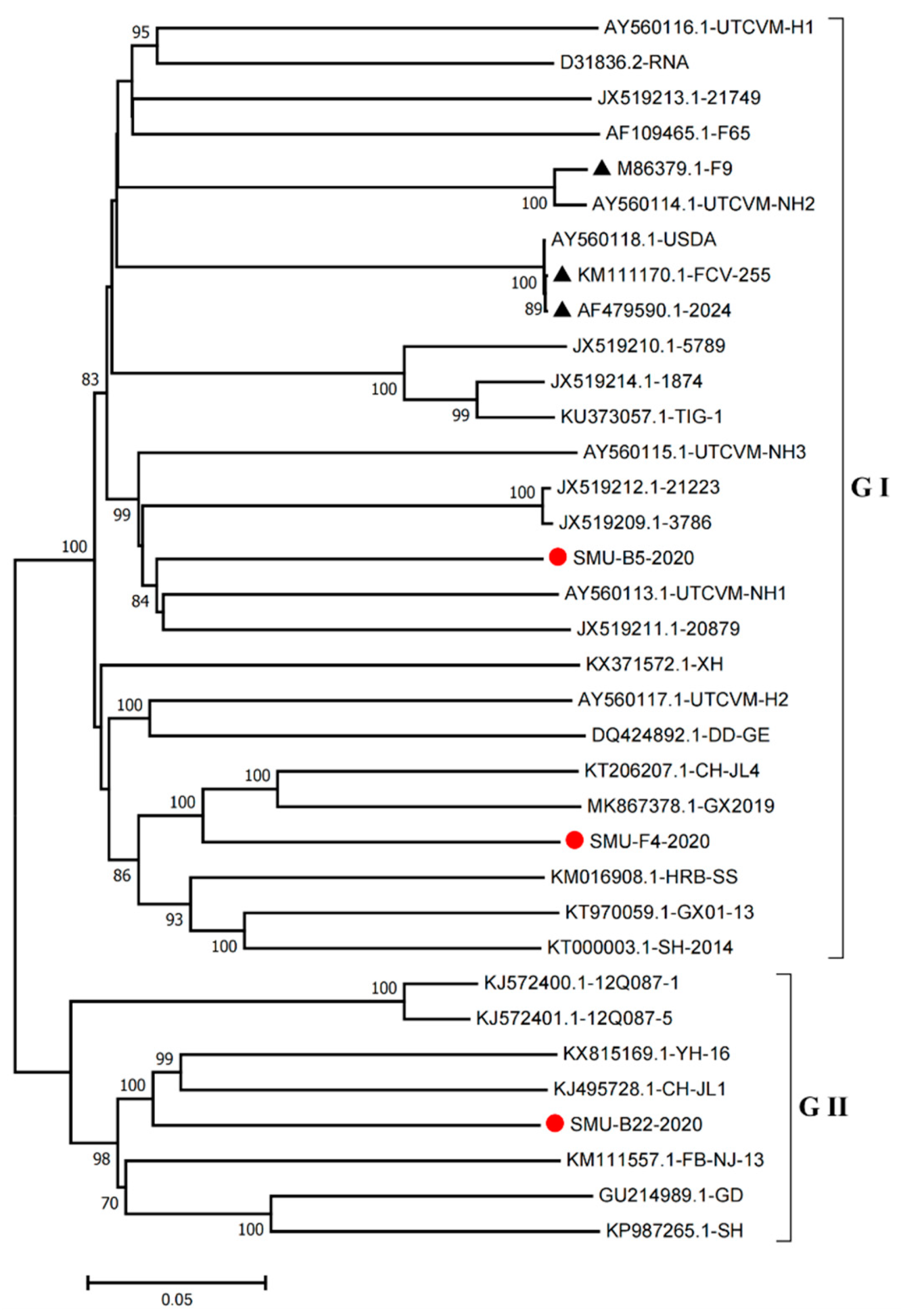 Viruses 13 01812 g004