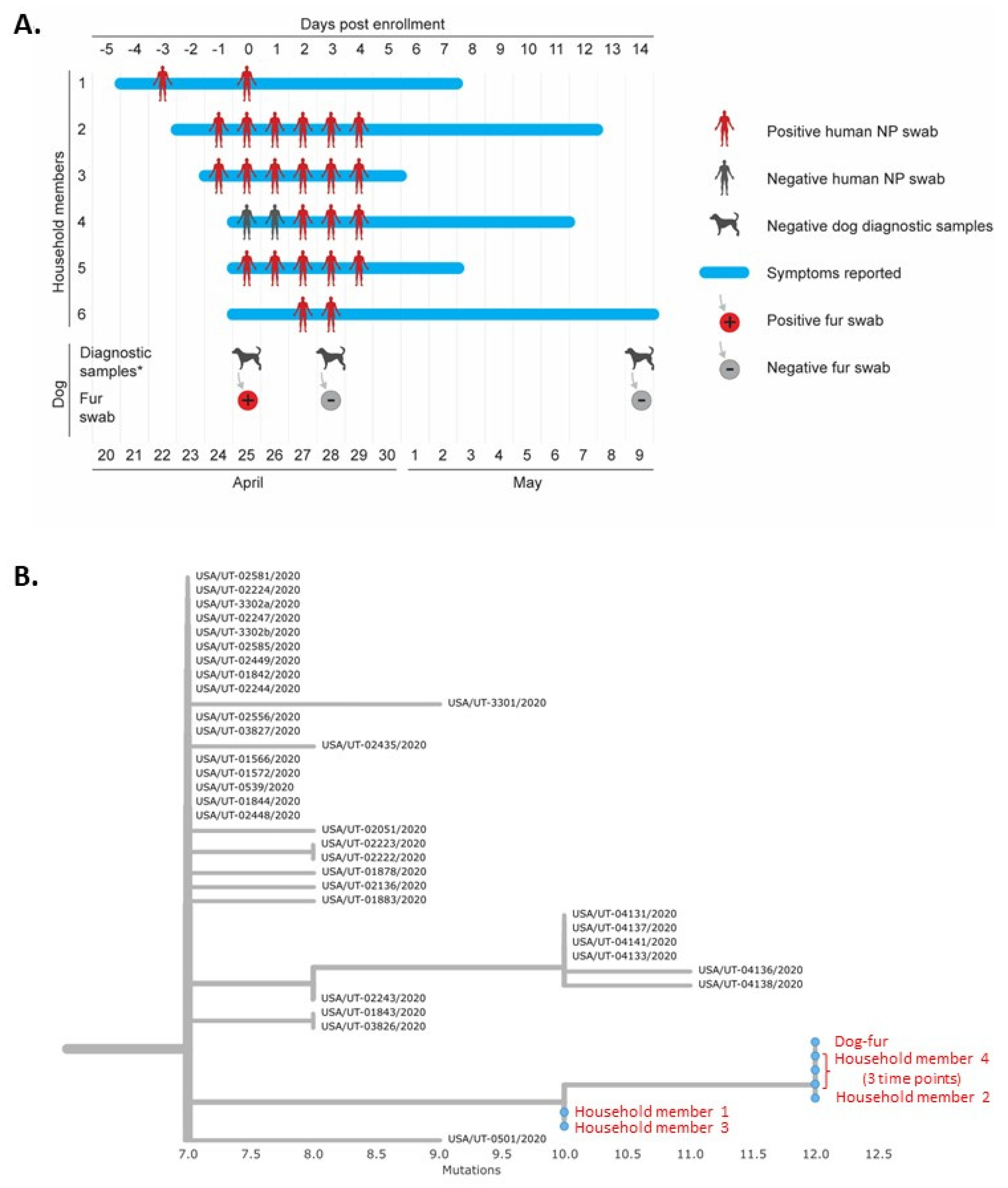 Viruses 13 01813 g002