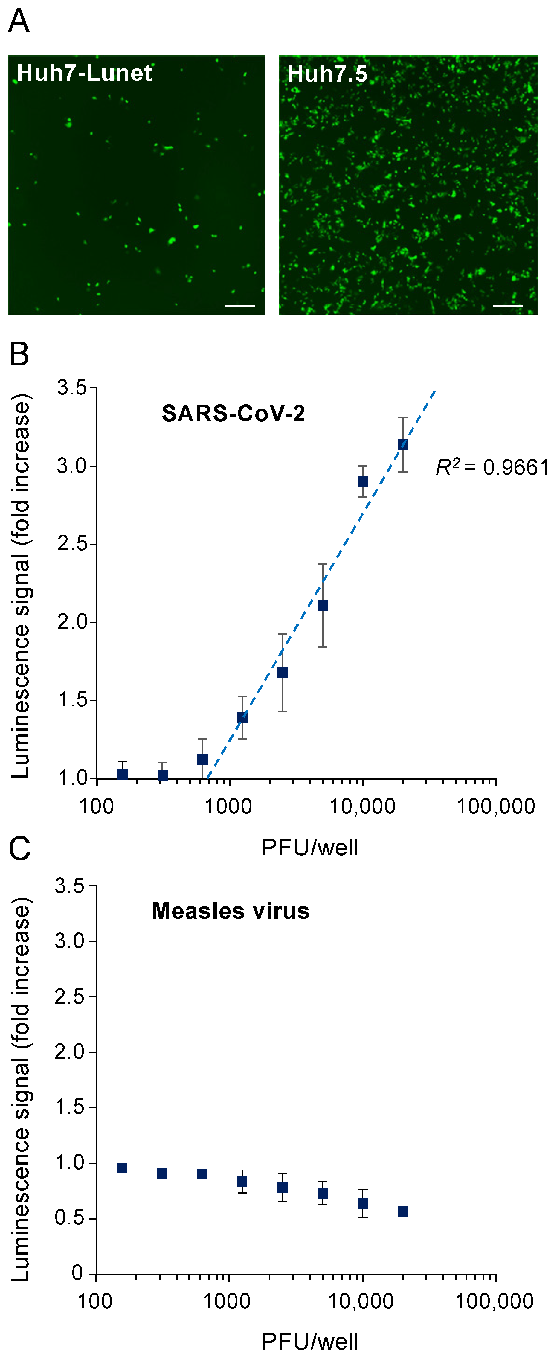Viruses 13 01814 g003